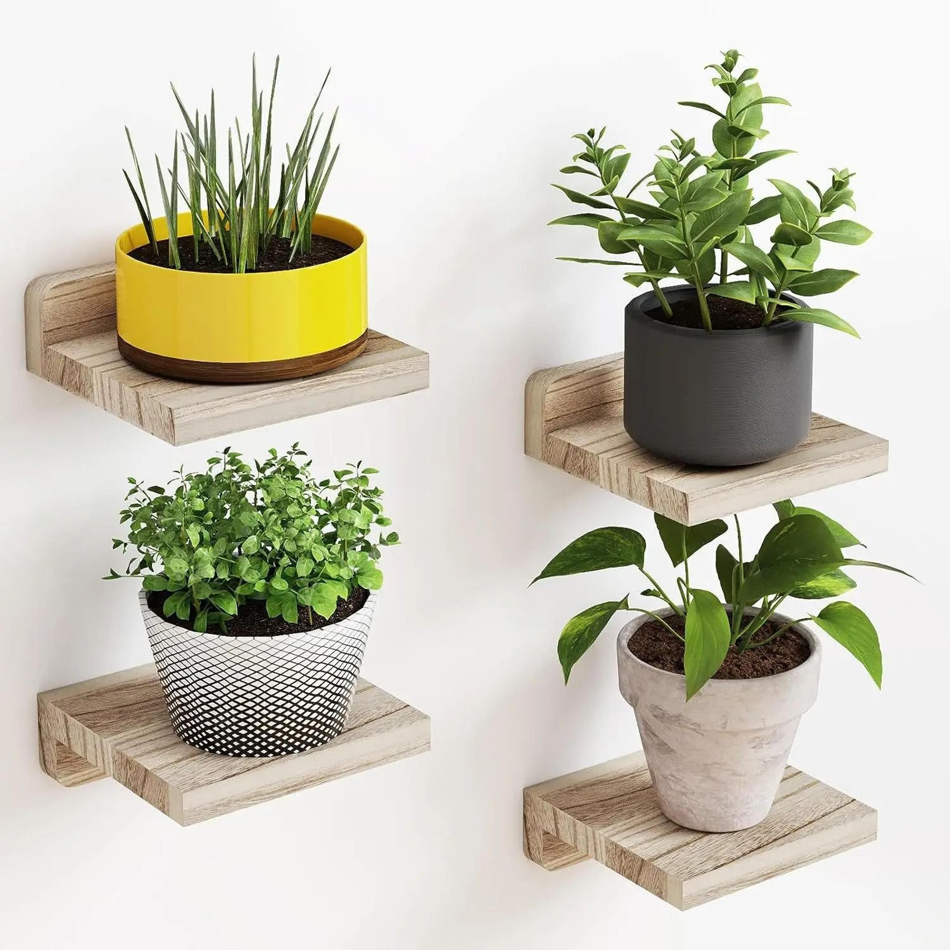 White Floating Shelves Rustic Wood Wall Mounted Display Shelf 3