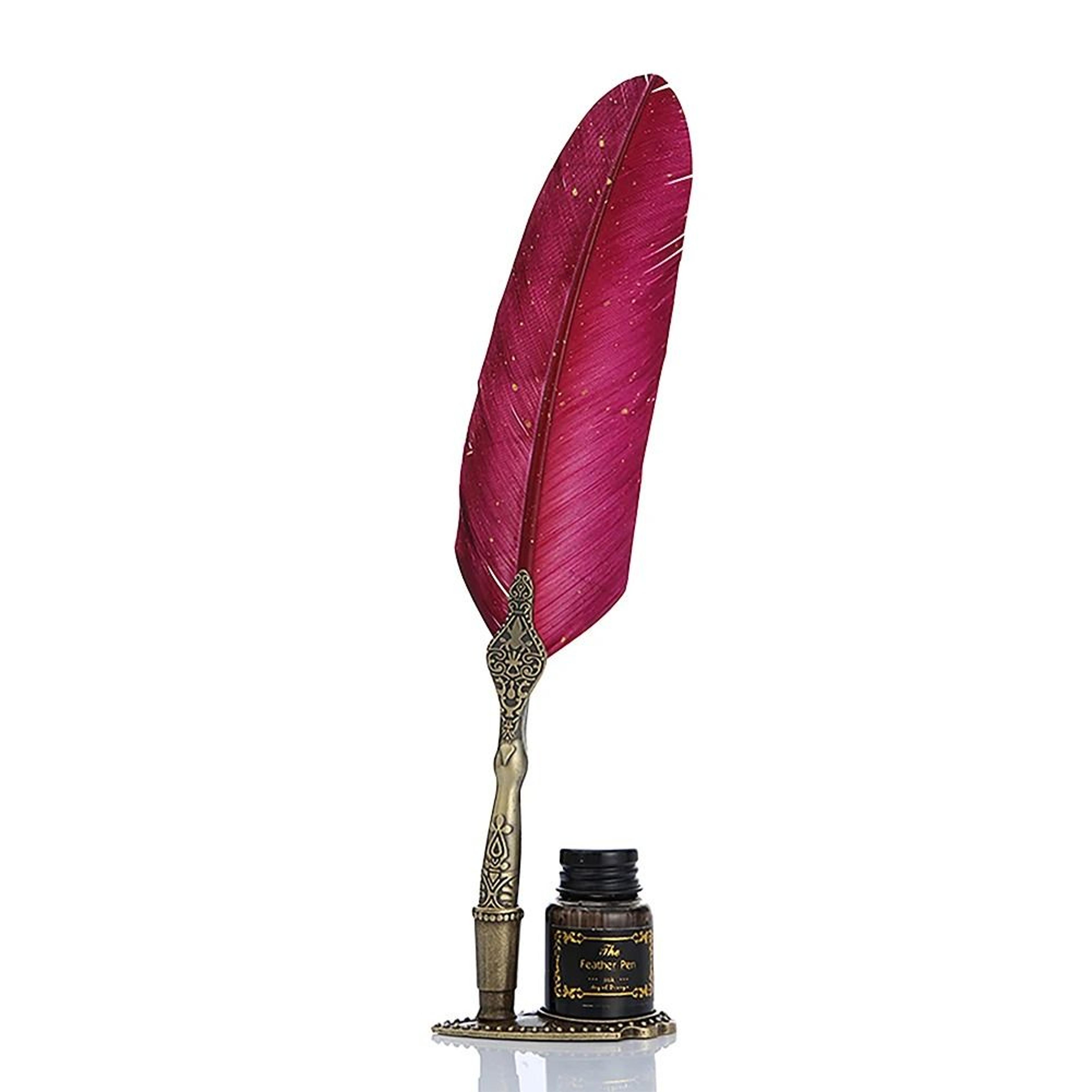 Retro Feather Dip Pen Set With Nibs Gift Box 13
