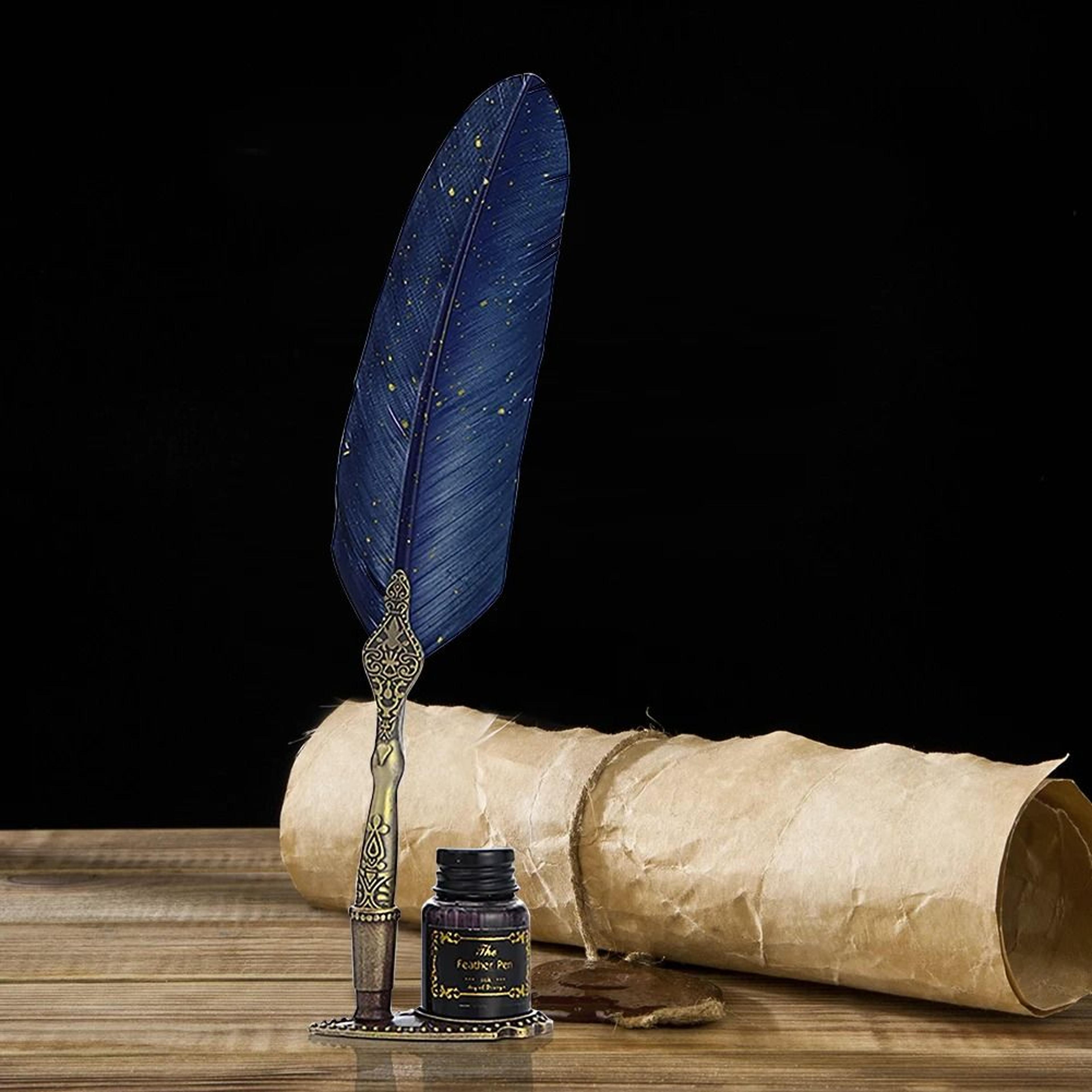 Retro Feather Dip Pen Set With Nibs Gift Box 14