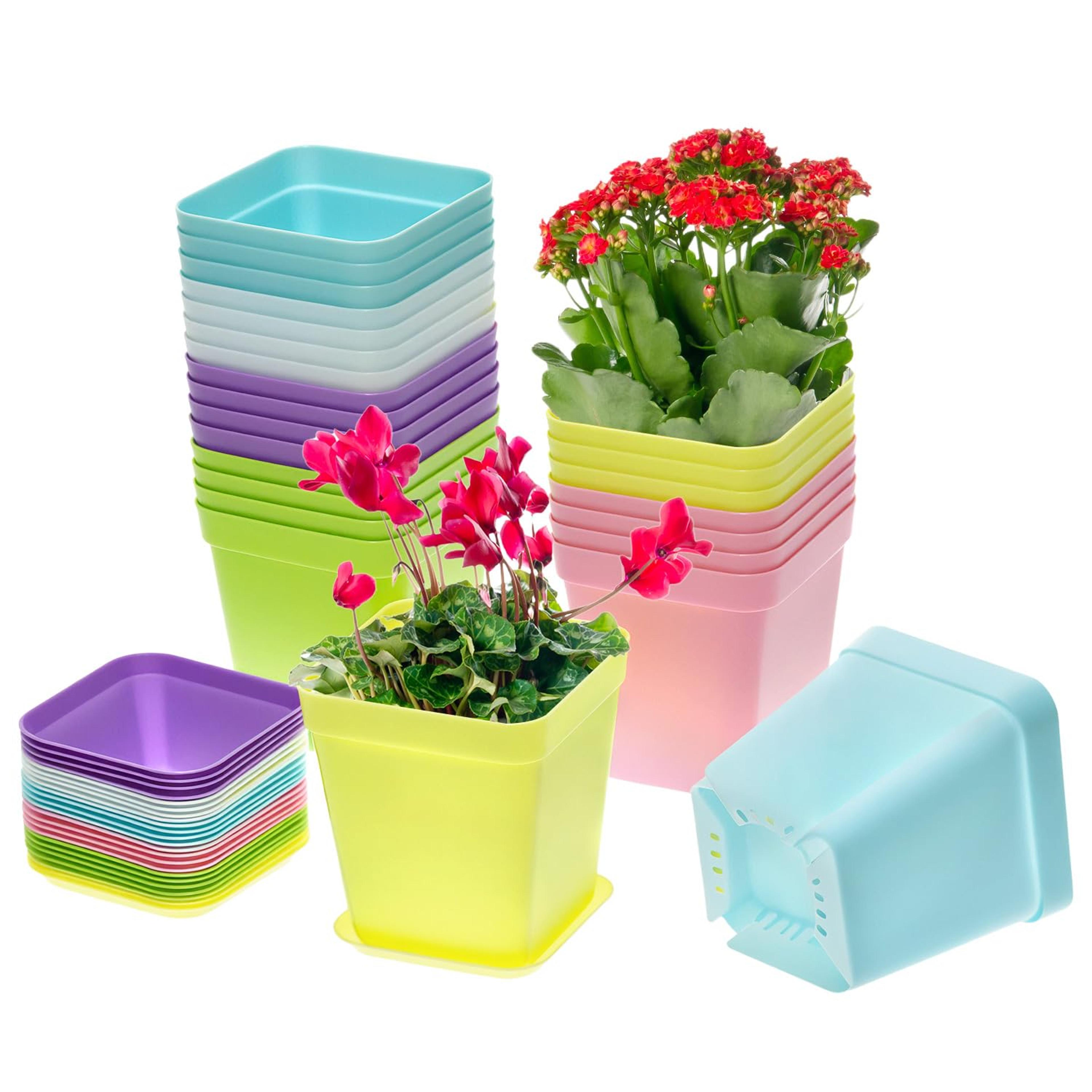 20 Piece Mini Square Succulent Pots With Trays For Home Garden Decor 2
