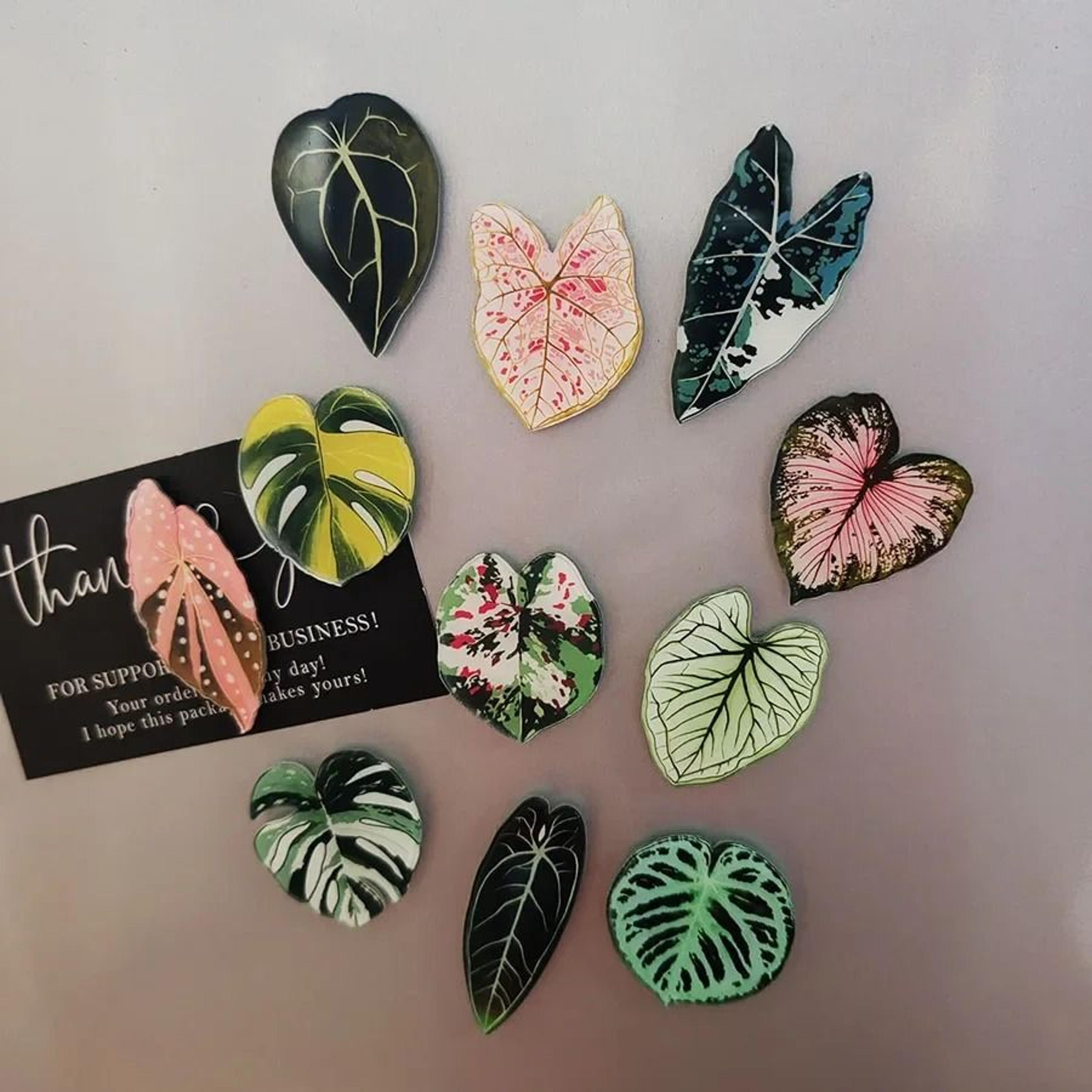 kawaii tropical plant refrigerator magnets 6 piece set