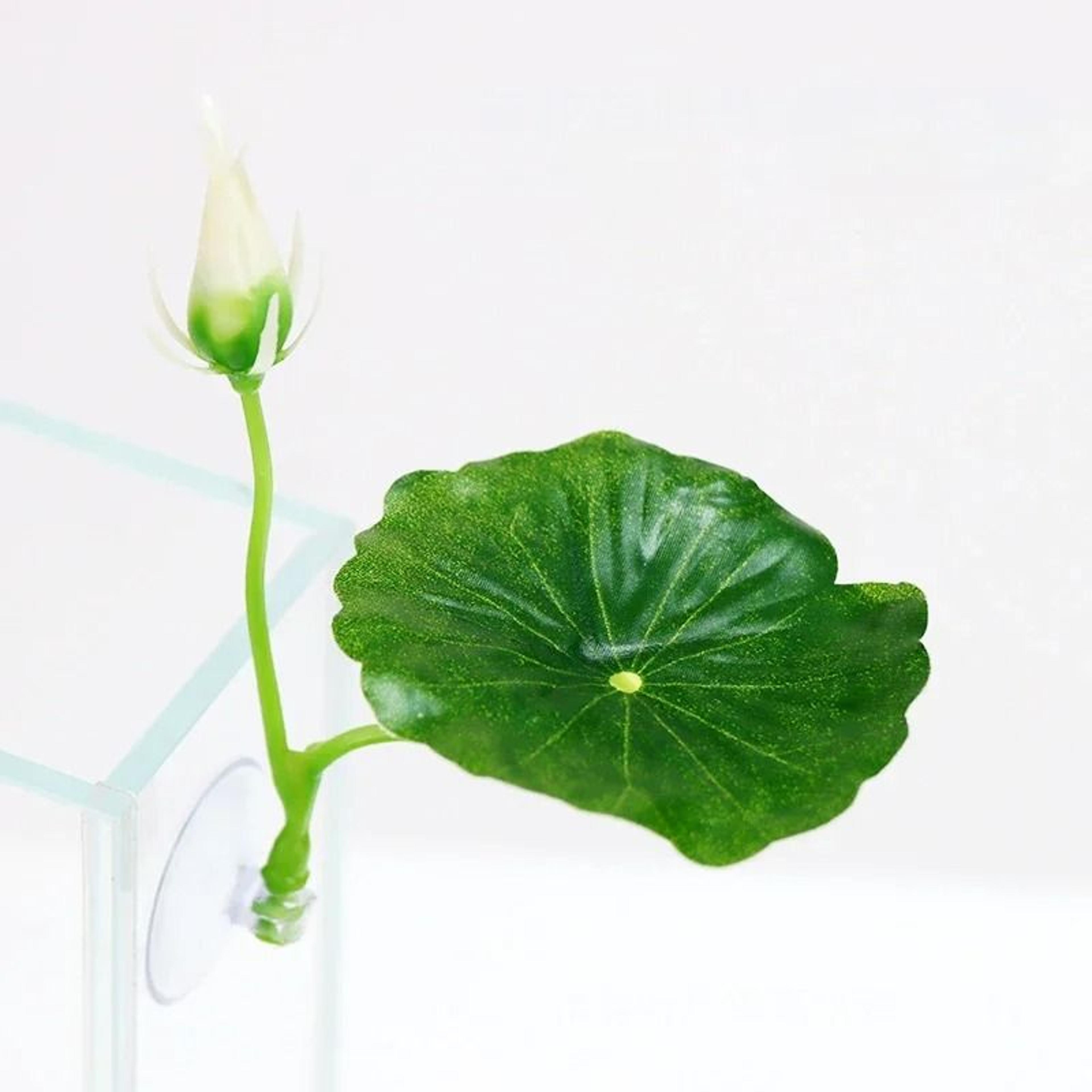 Comfort Leaf Betta Fish Hammock And Aquarium Resting Bed 3