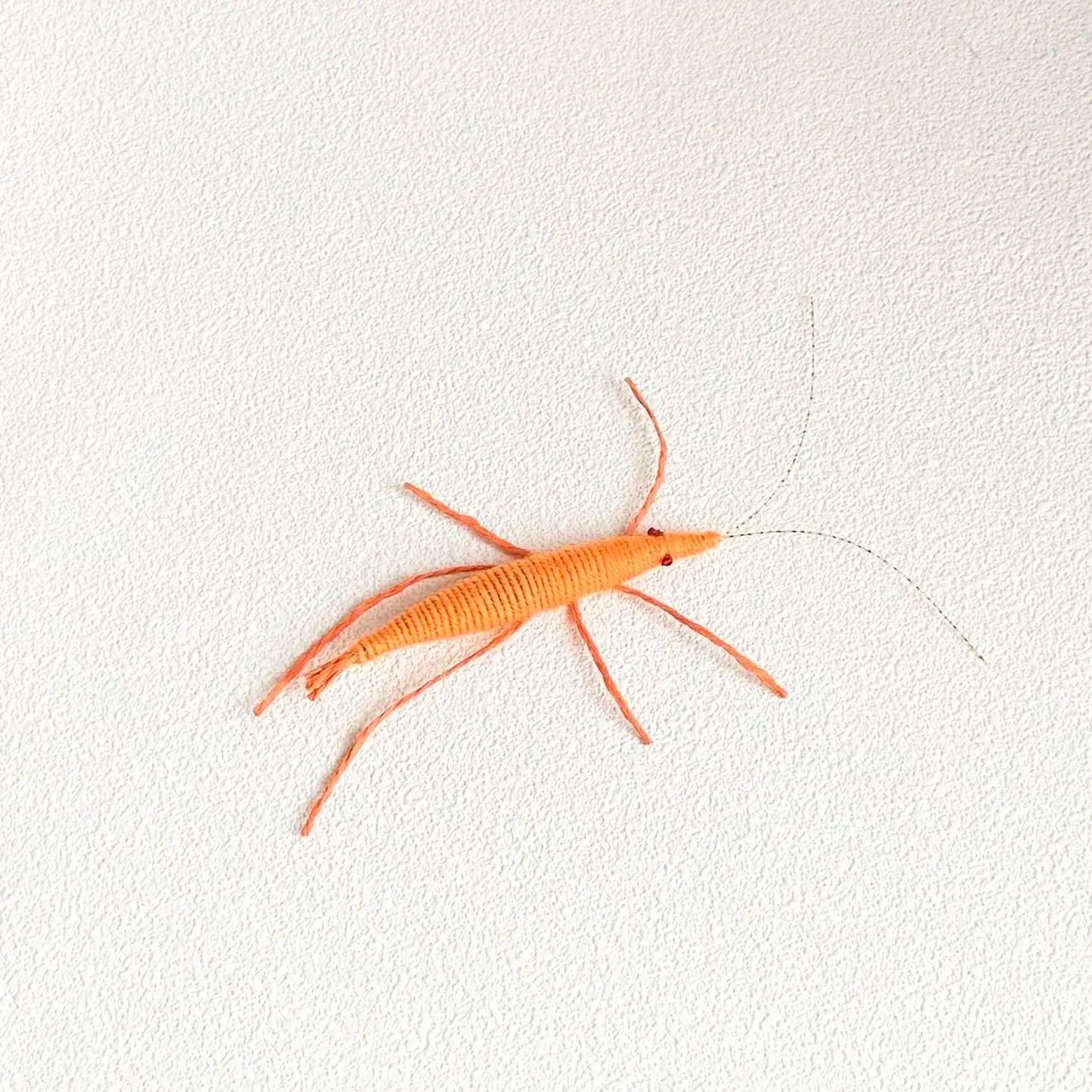 Wool Prawn Catnip Chew Toy For Interactive Play 6