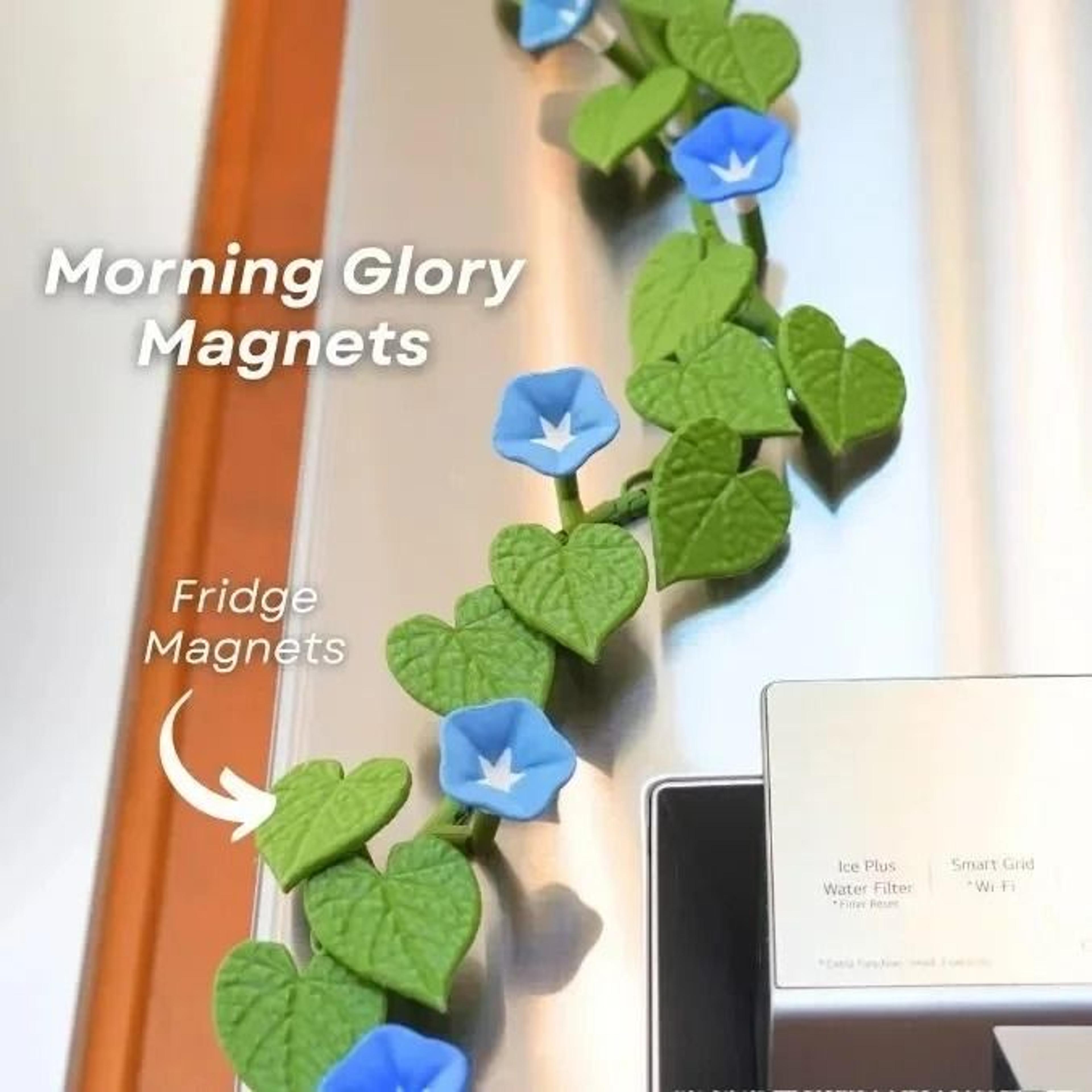 bloomvine 3d morning glory fridge magnets