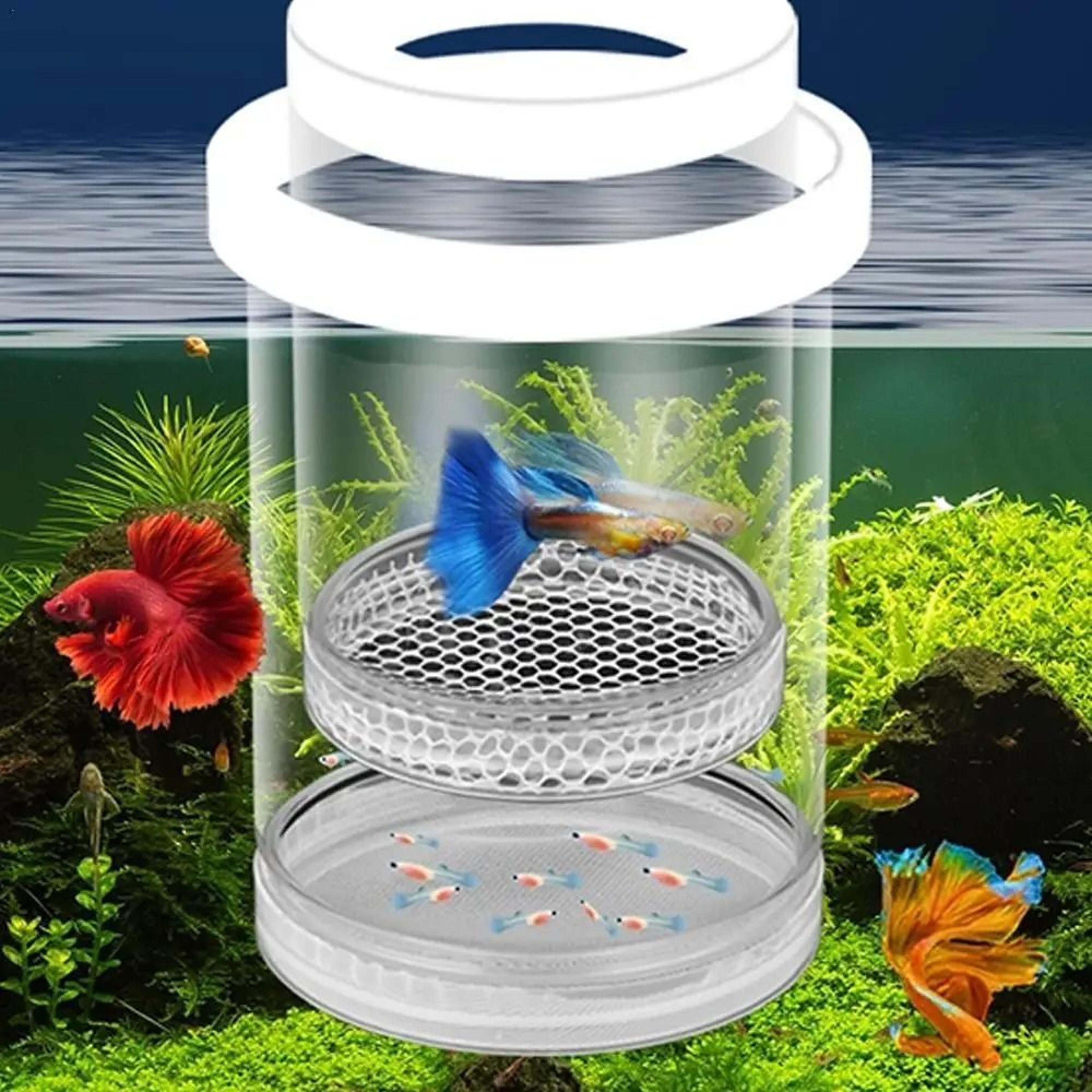 1pc floating fish breeding isolation box for aquarium fry protection