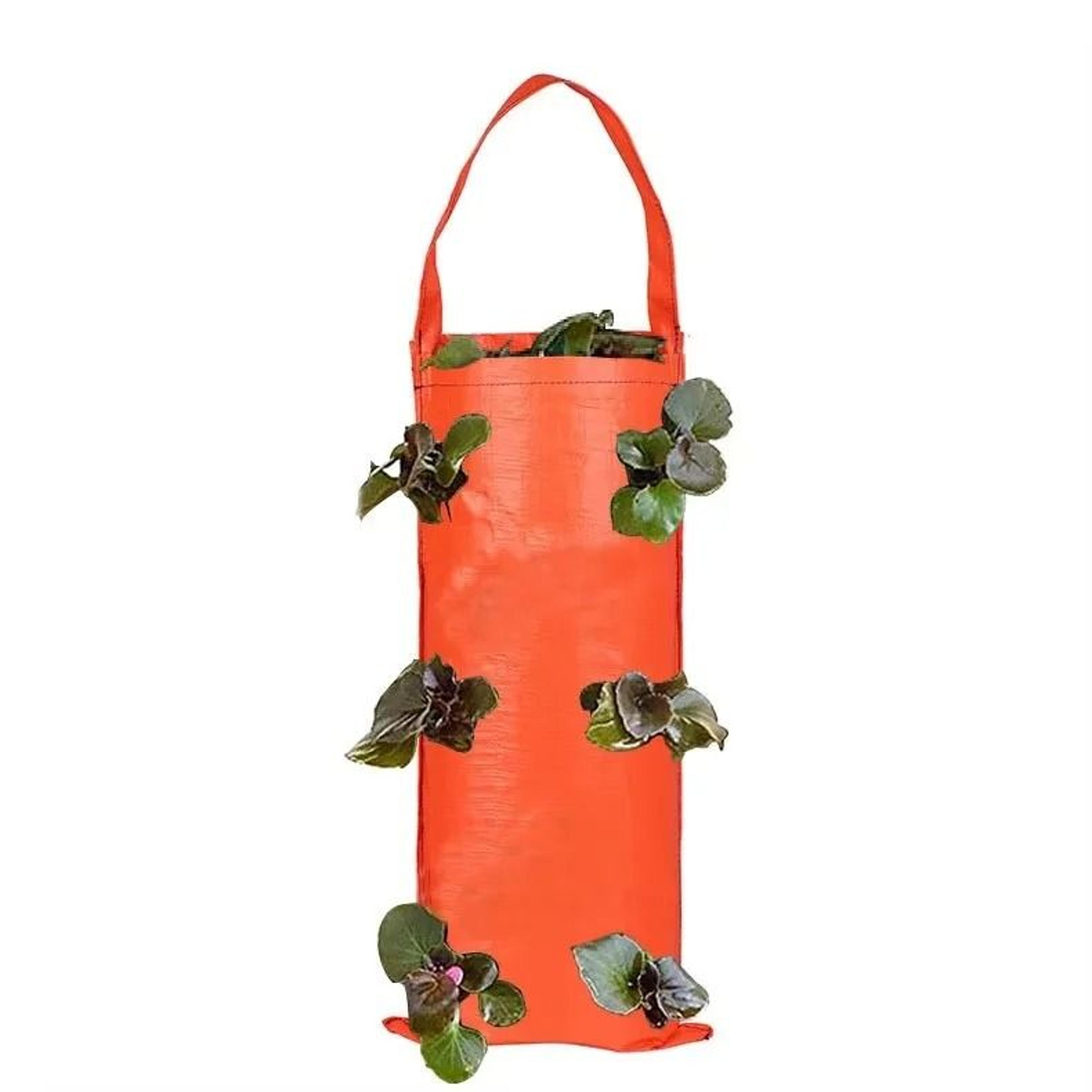 Hanging Strawberry Grow Bag For Upside Down Tomato Vegetable And Flower Gardening 4