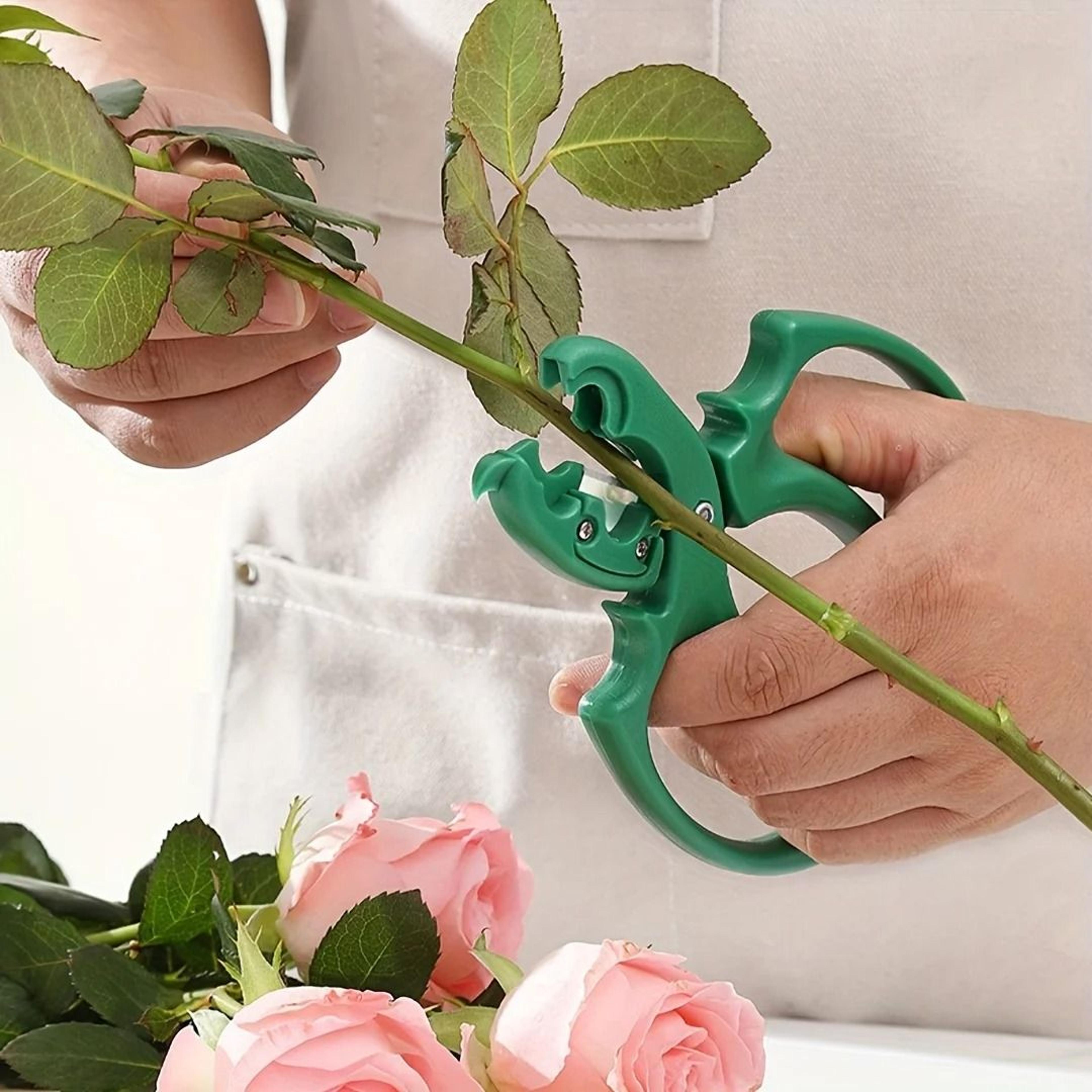 Two In One Rose Thorn Remover And Floral Pruning Scissors 3