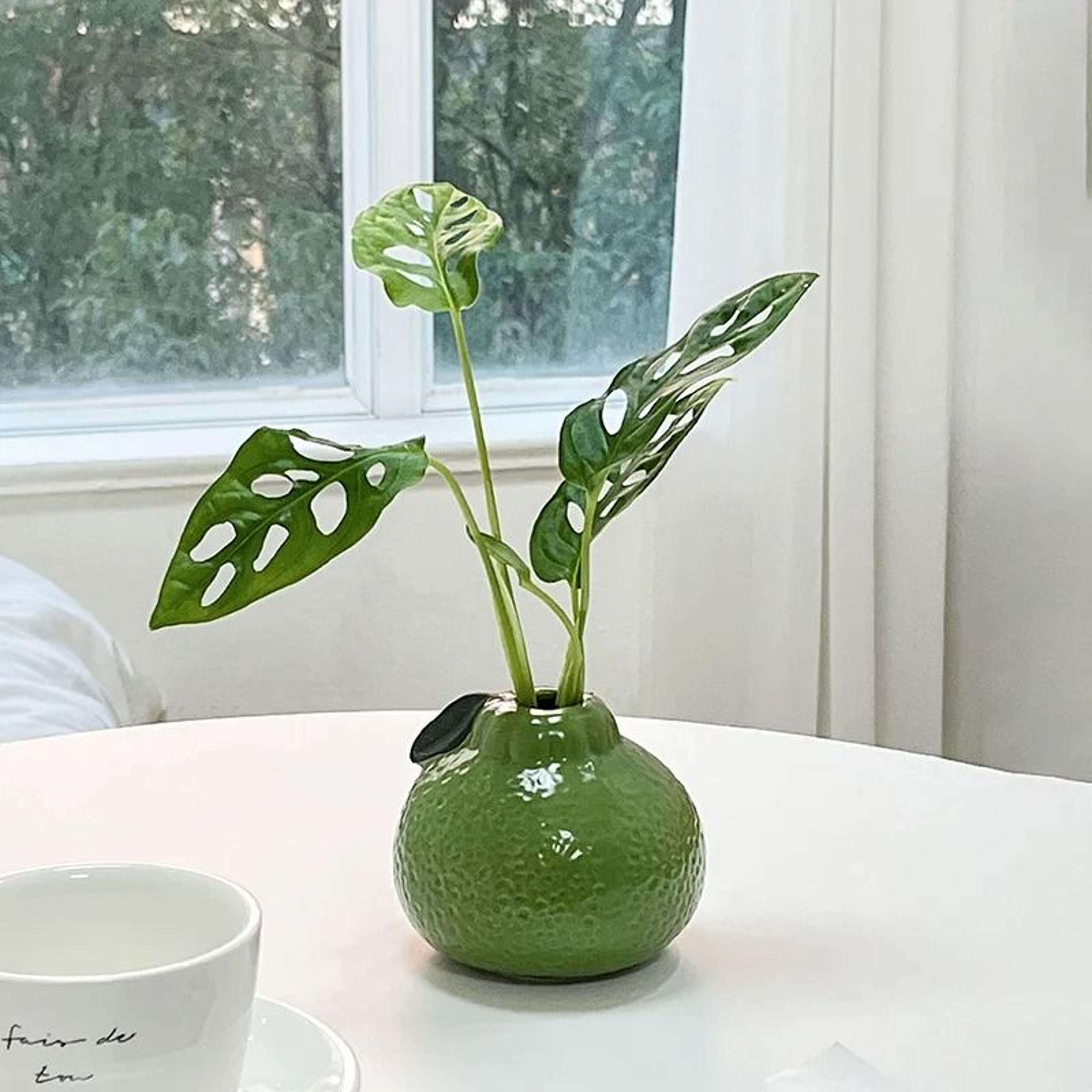 Green Orange Fruit Shape Ceramic Vase For Modern Tabletop Home Decor 6