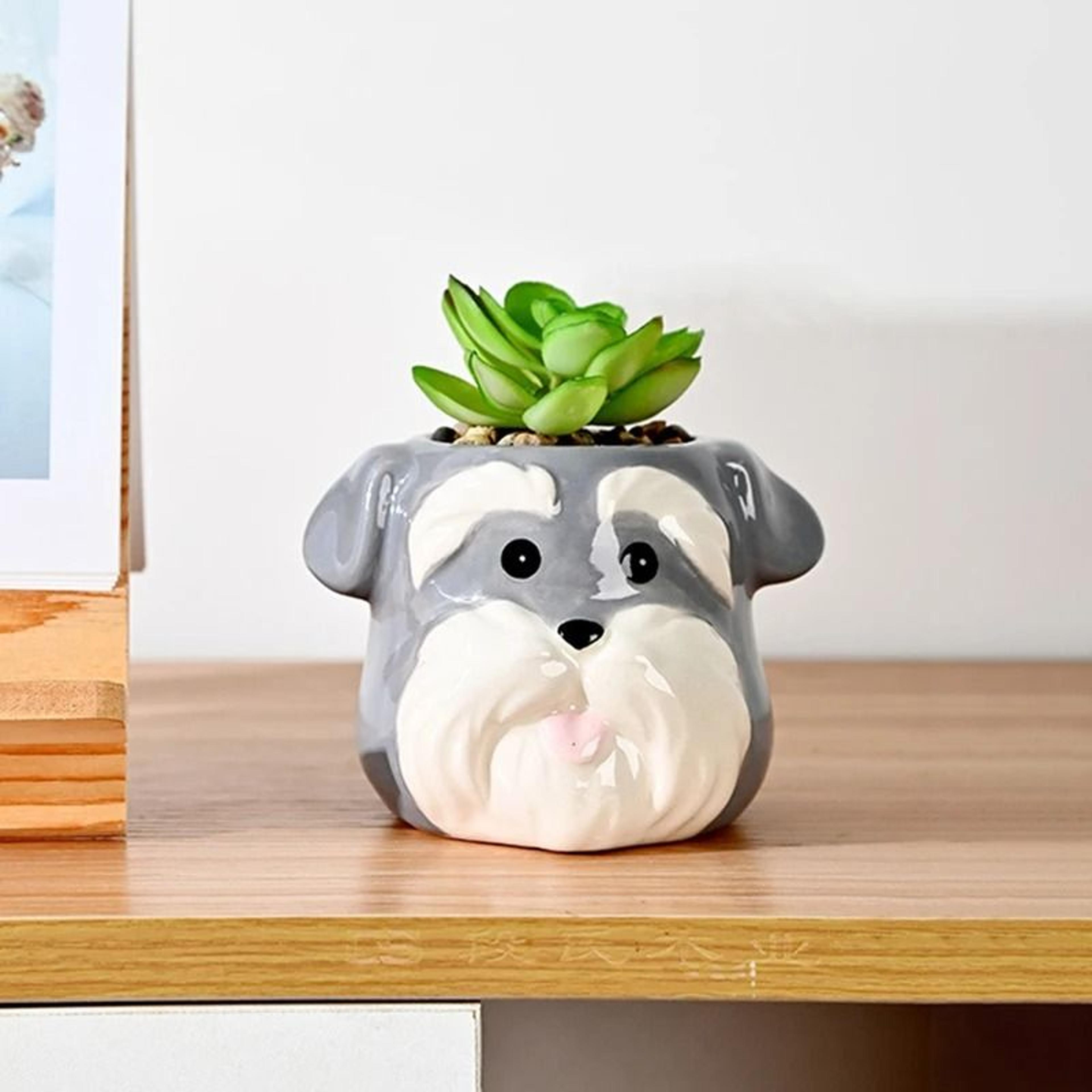 Cute Ceramic Animal Succulent Planter For Home Office Table Garden Decoration Display 5