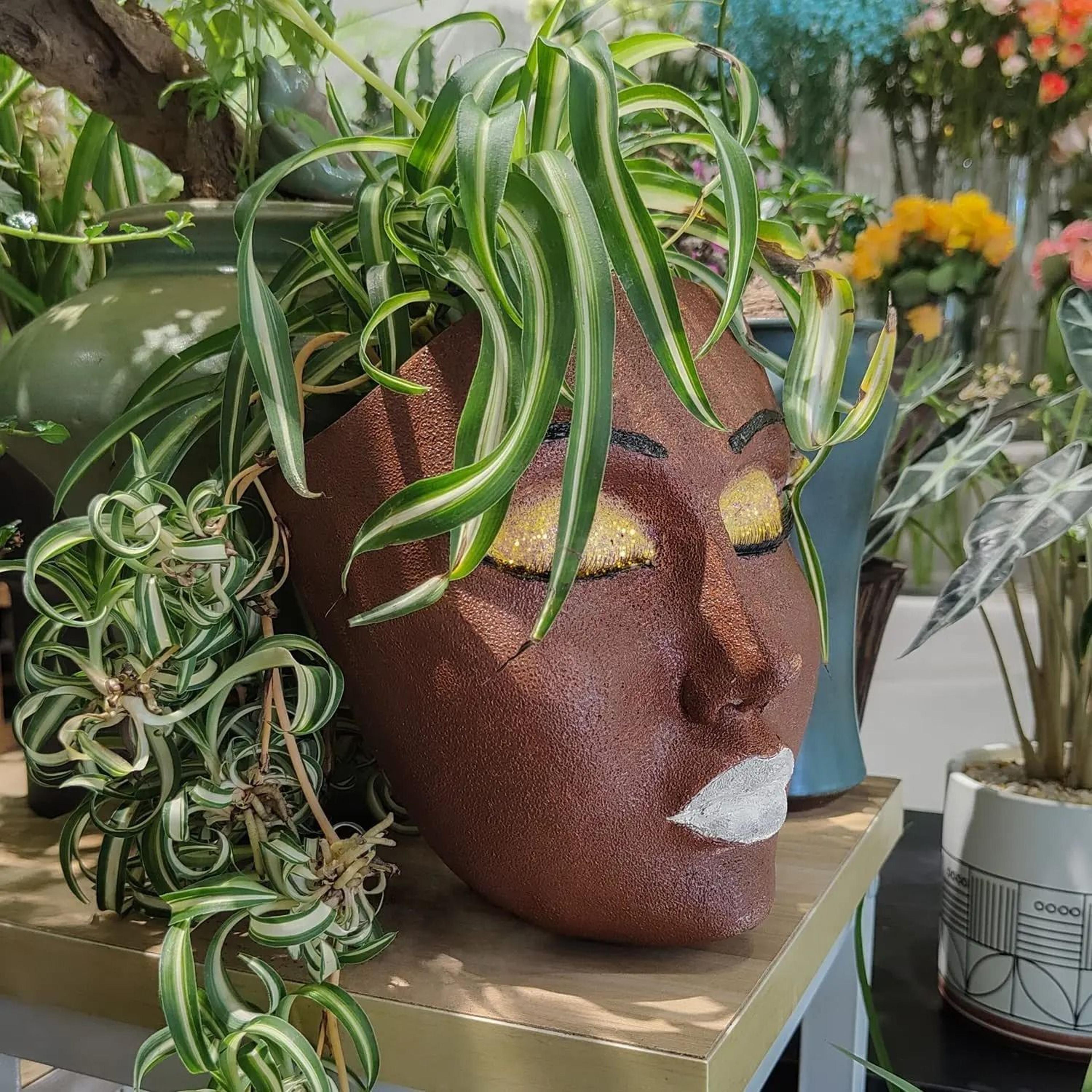 Human Face Resin Wall Planter For Indoor Outdoor Garden Plant Decor 5