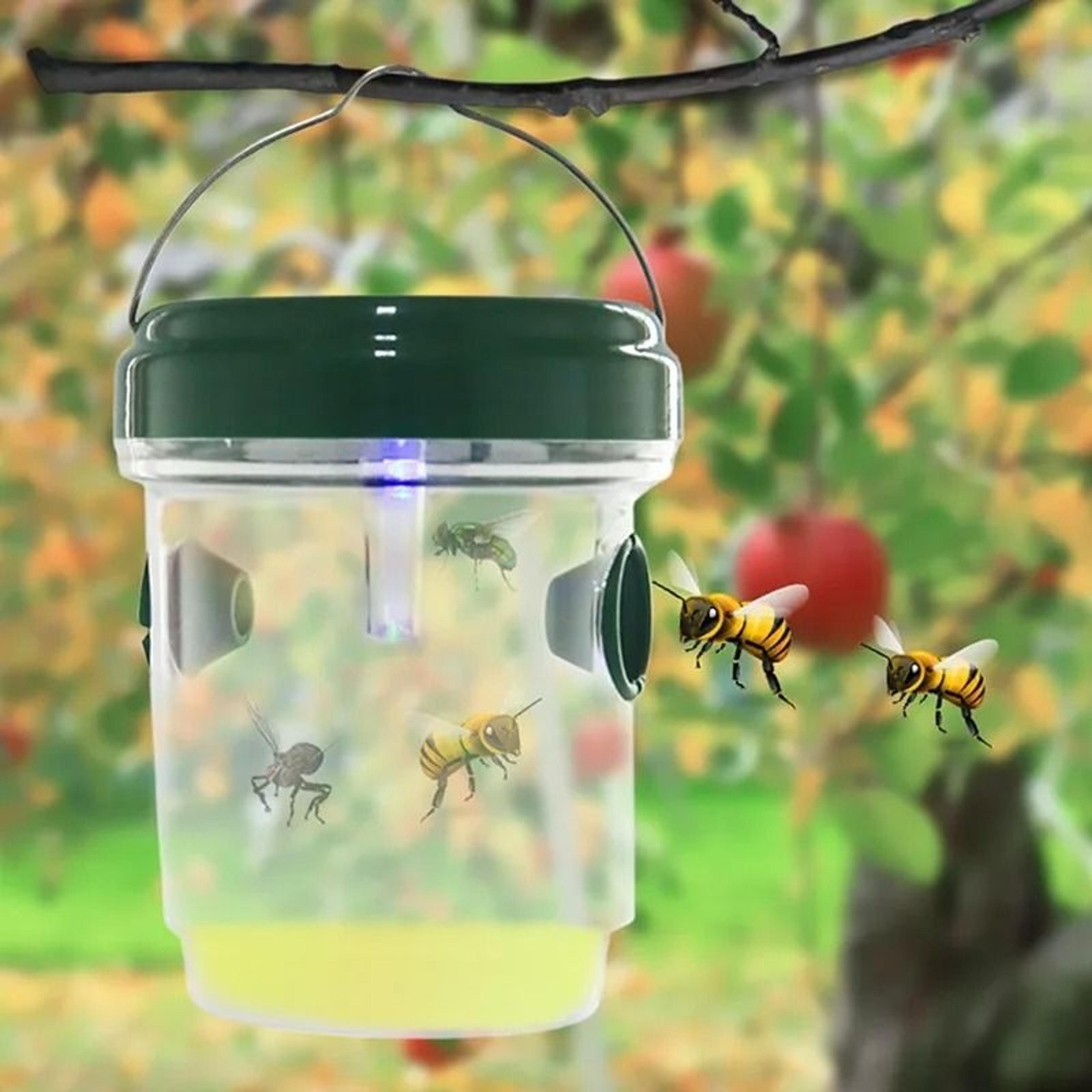 solar led reusable hanging wasp and fruit fly trap