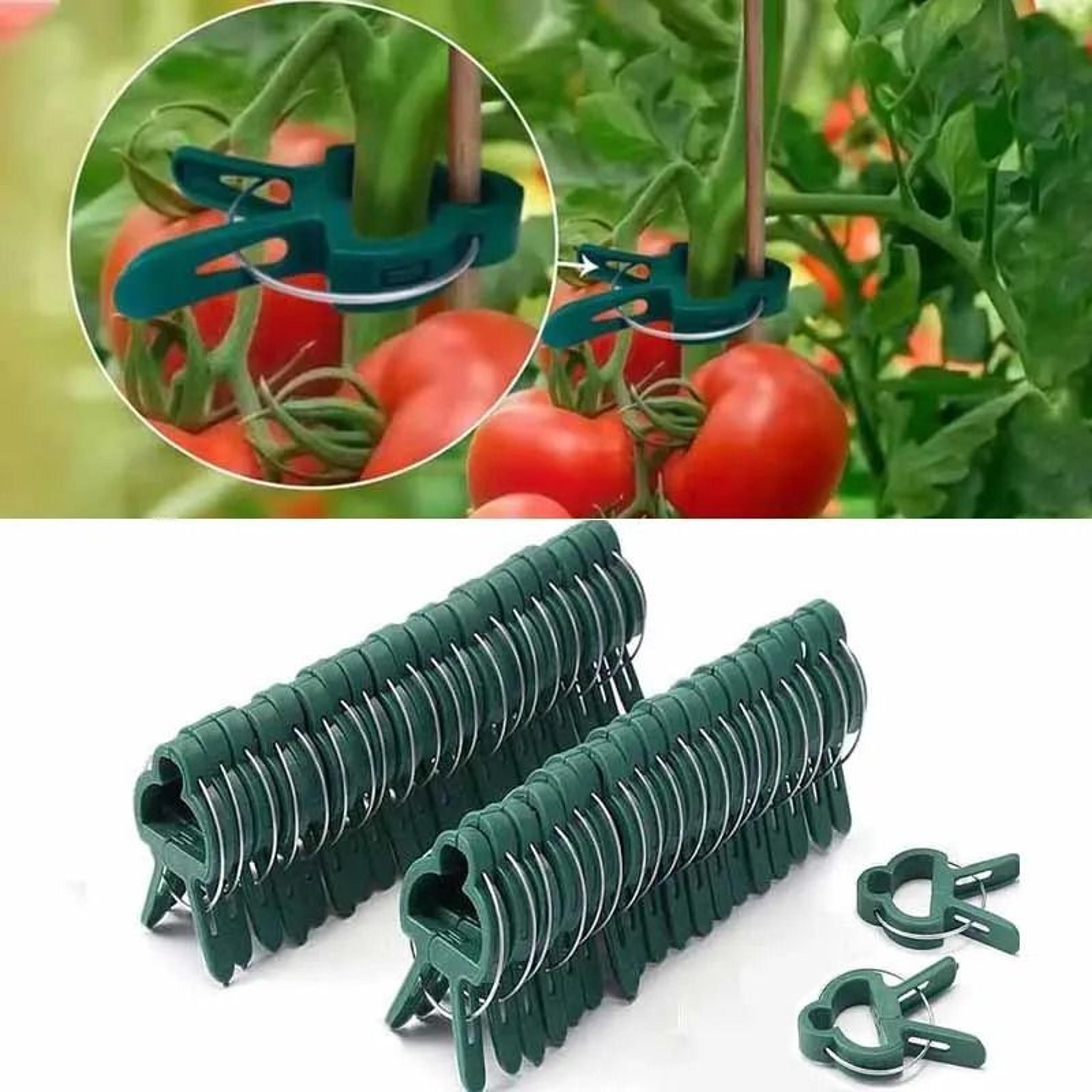 reusable plant support clips for stems vines and tomatoes