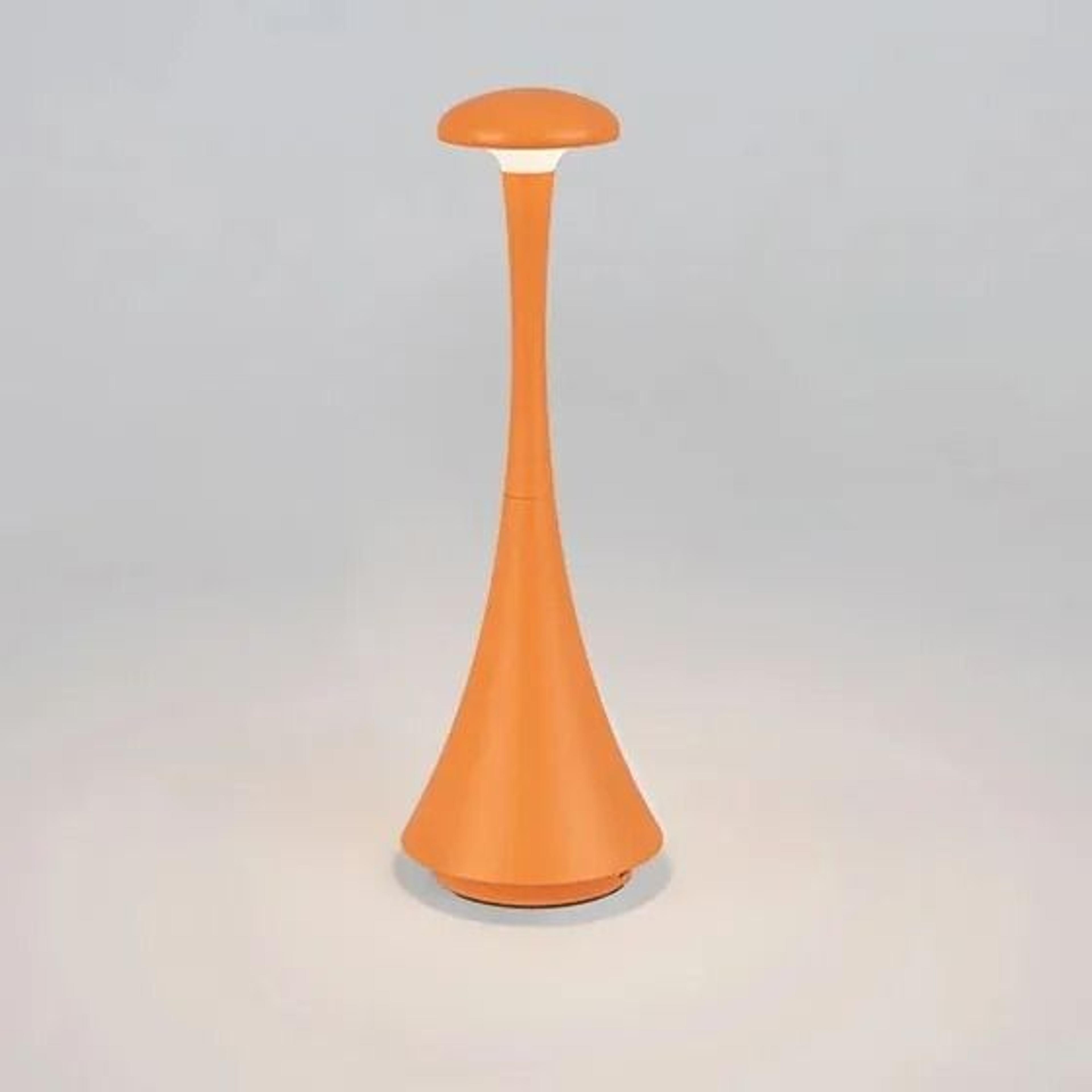 Rechargeable Mushroom Touch Table Lamp With Wireless USB C Ambient Lighting 4