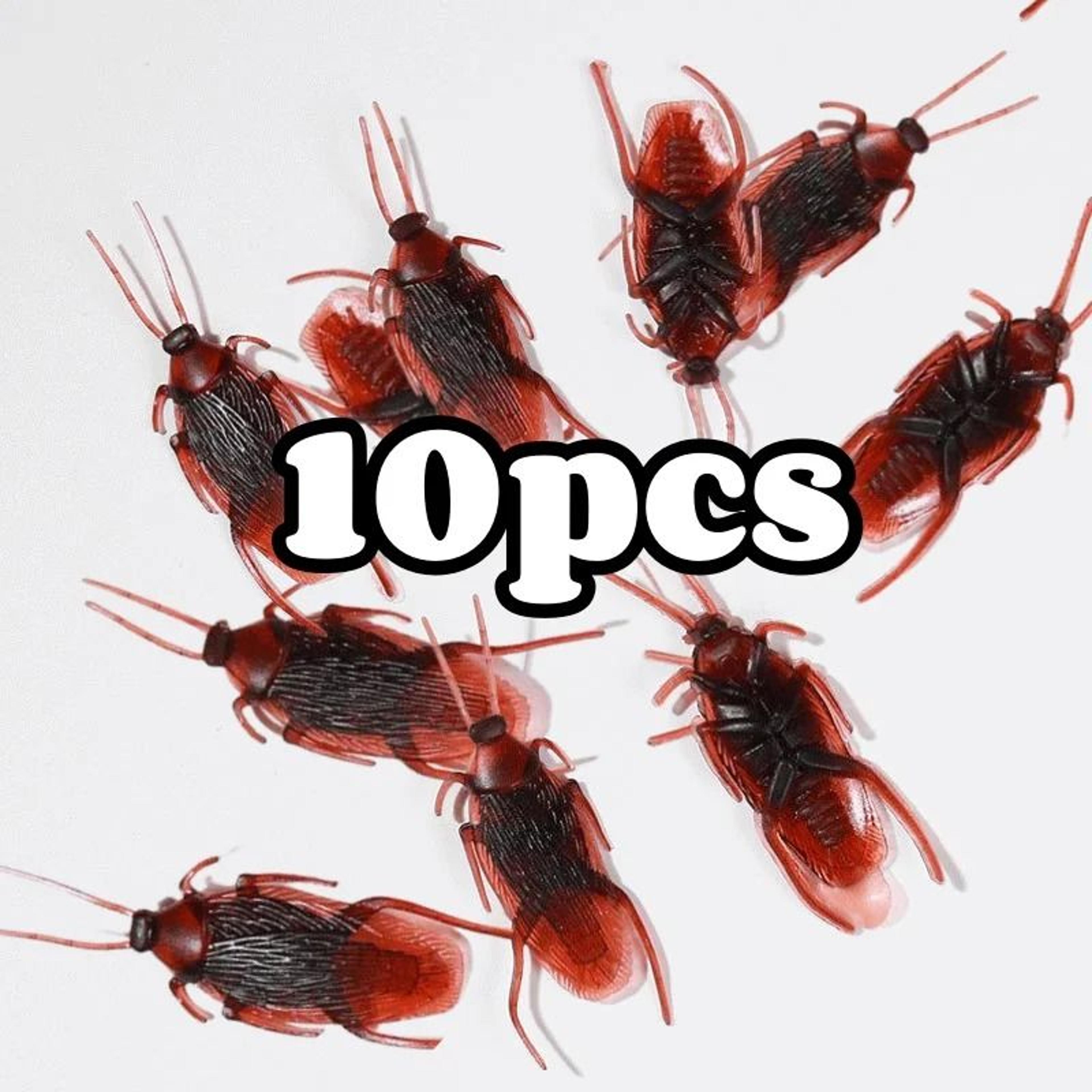 Realistic Fake Cockroach Prank Set For Halloween Parties And Gag Gifts 2