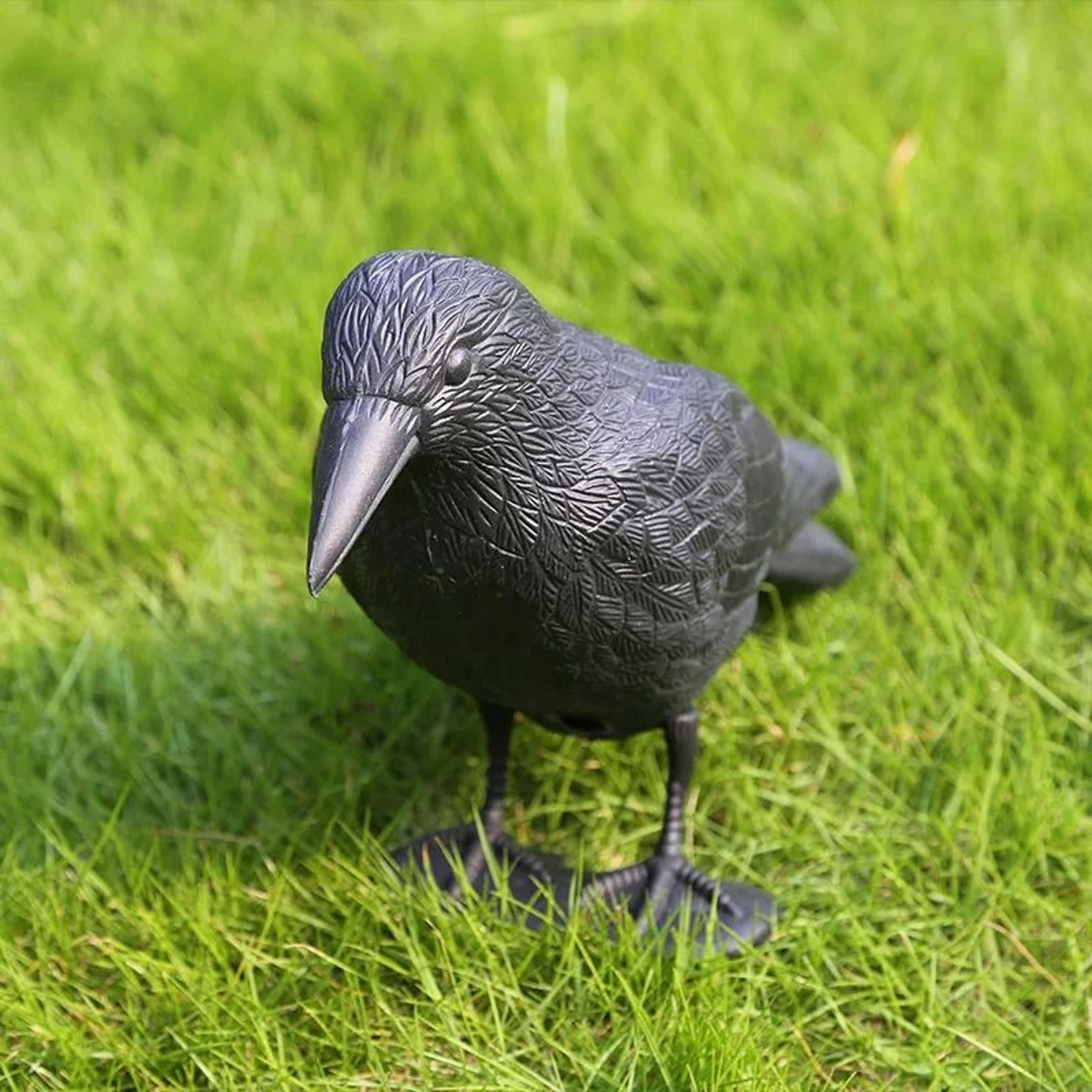 Realistic Black Crow Decoy For Bird Control And Halloween Party Decor 6