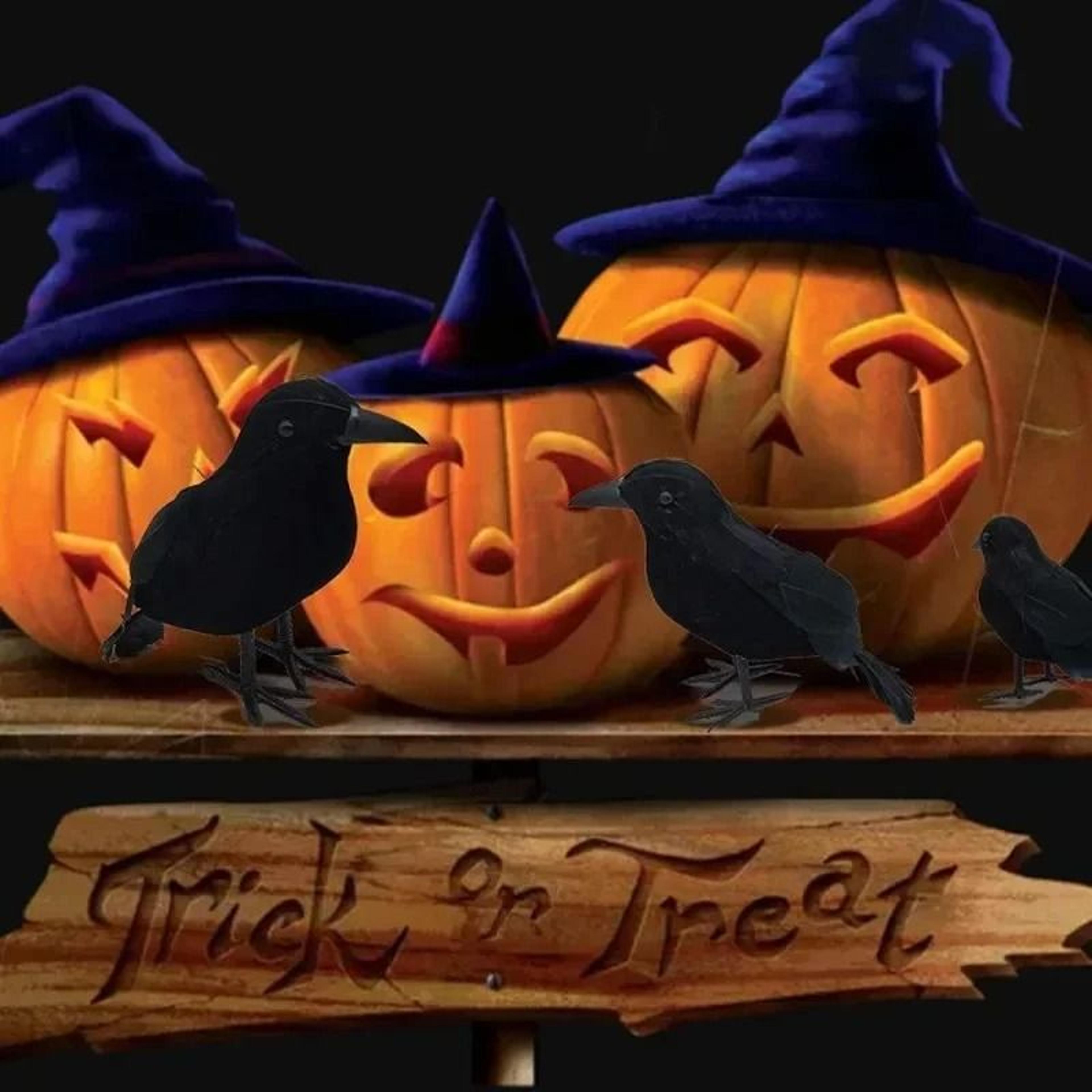Realistic Black Crow Decorations For Haunted Halloween Parties And Gothic Displays 5