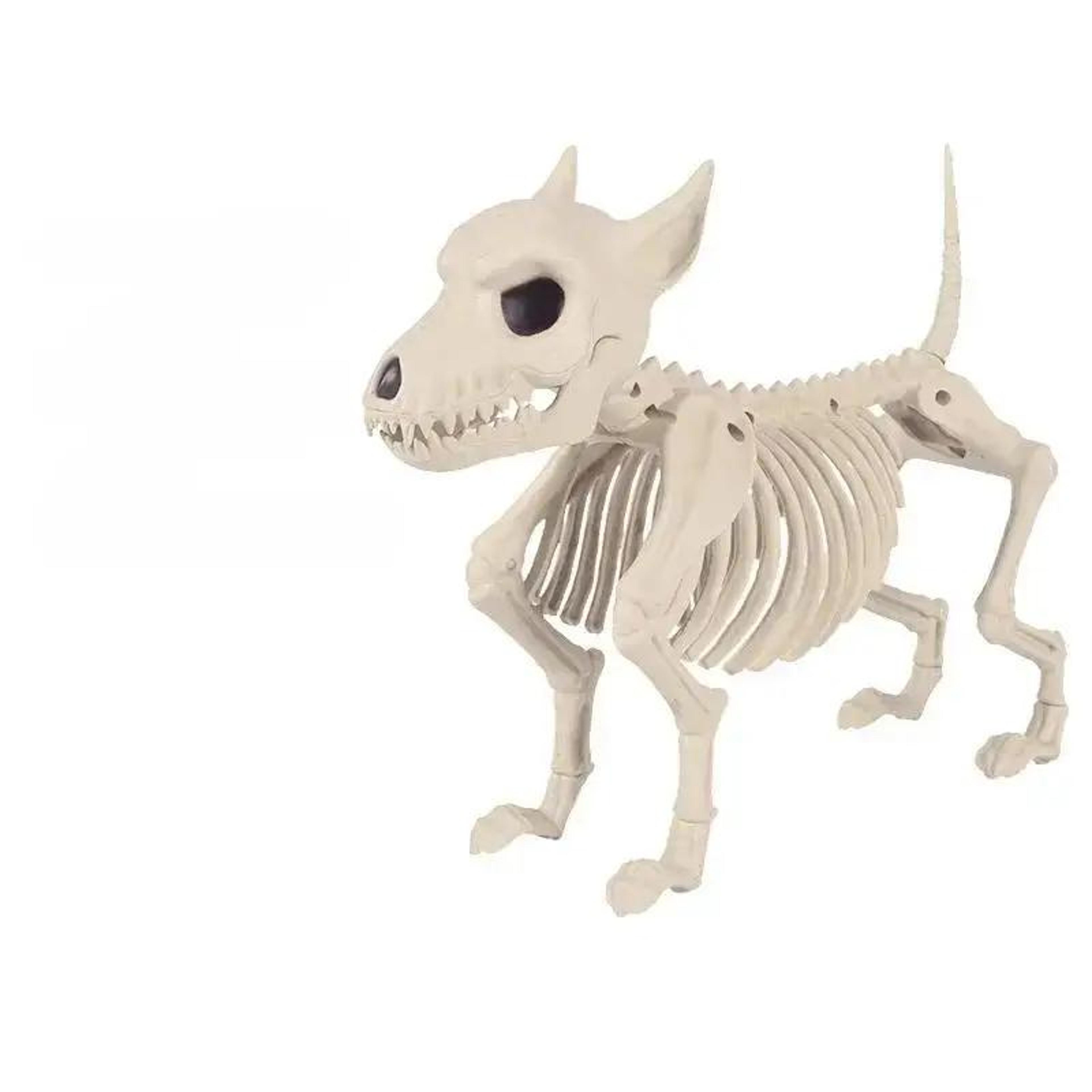 Realistic Skeleton Wolf Halloween Animal Prop 3