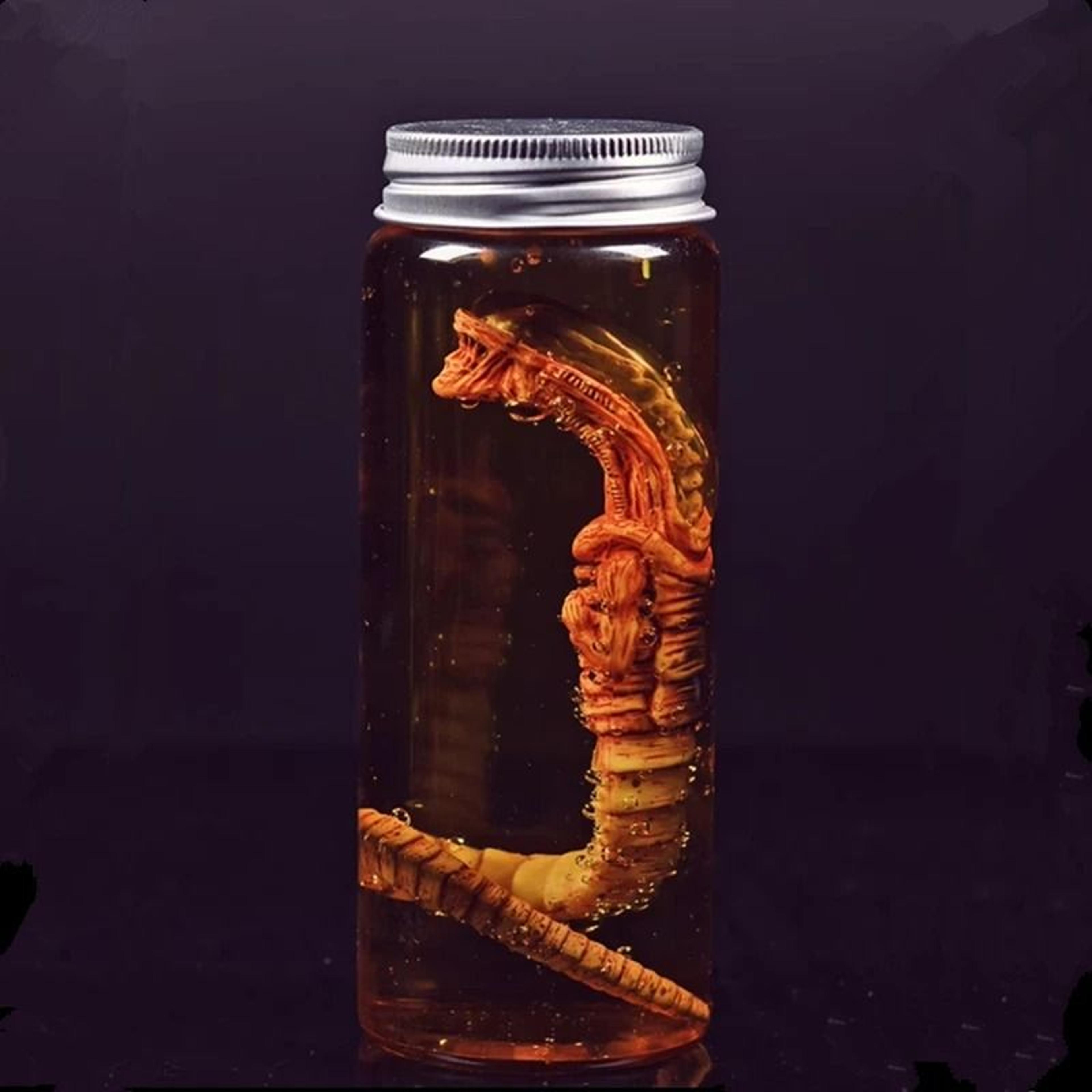 Alien Facehugger Specimen Jar Replica For Sci Fi Horror Display Decor 2