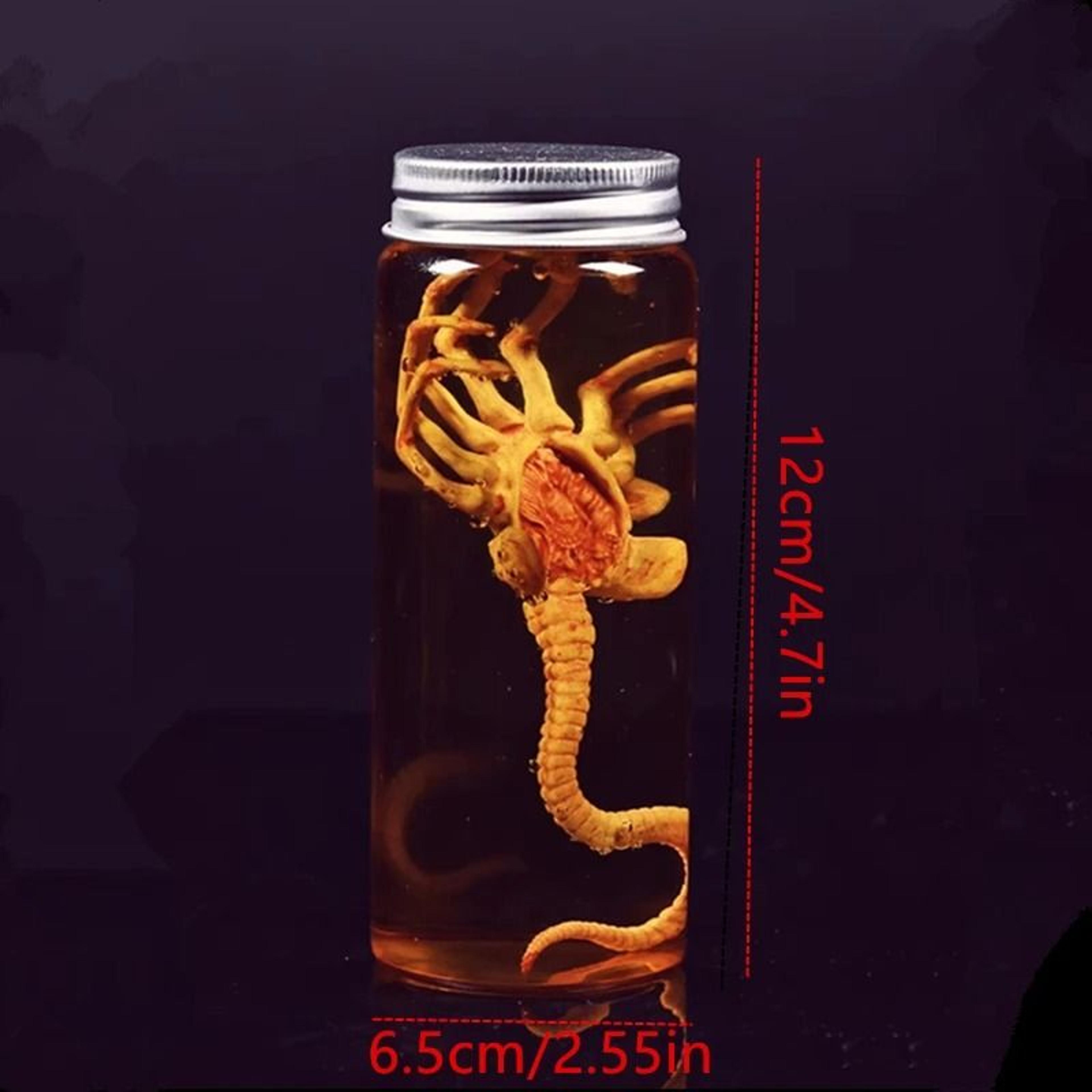 Alien Facehugger Specimen Jar Replica For Sci Fi Horror Display Decor 3