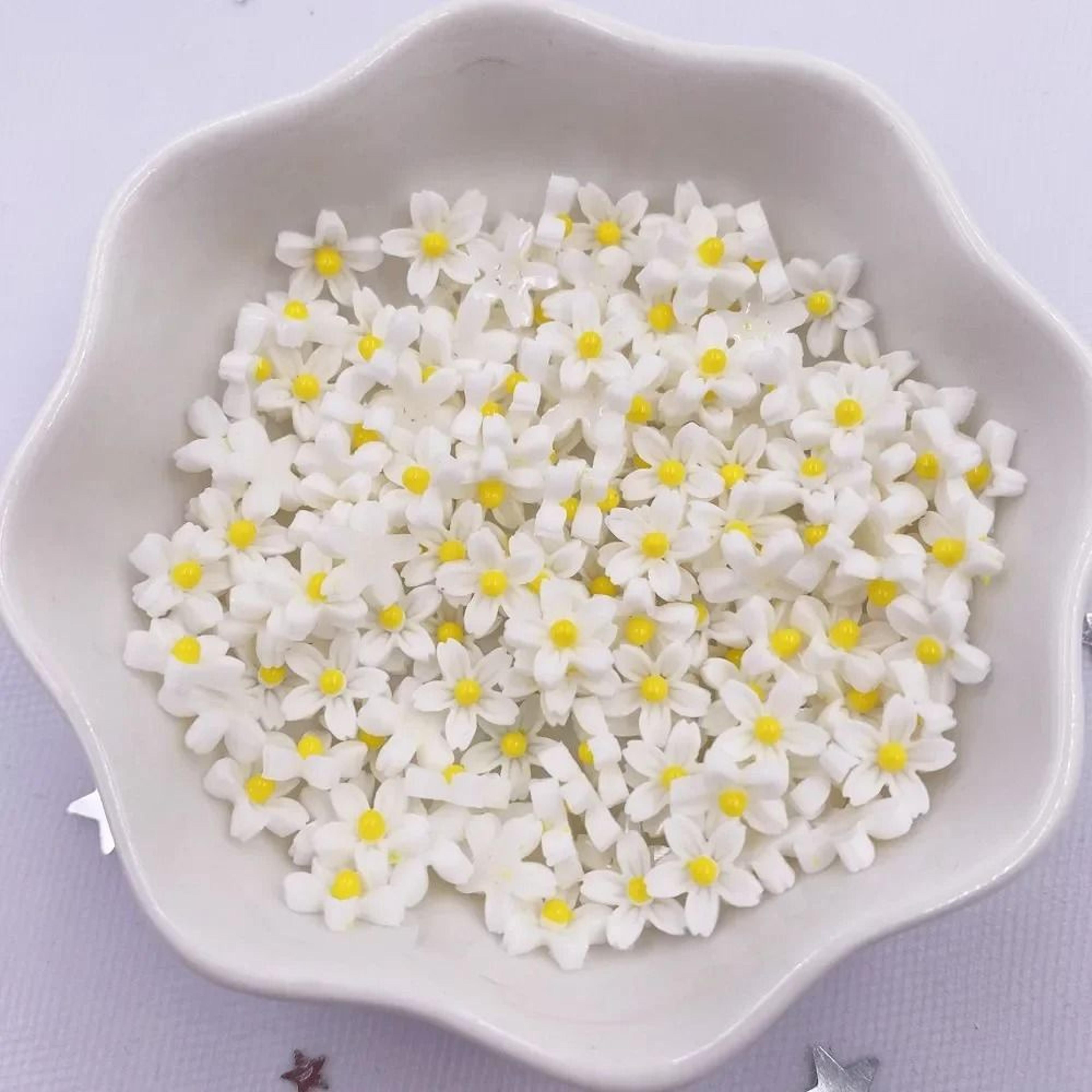 Colorful Mini Resin Flower Gems For Nail Art Scrapbooking DIY Crafts 8