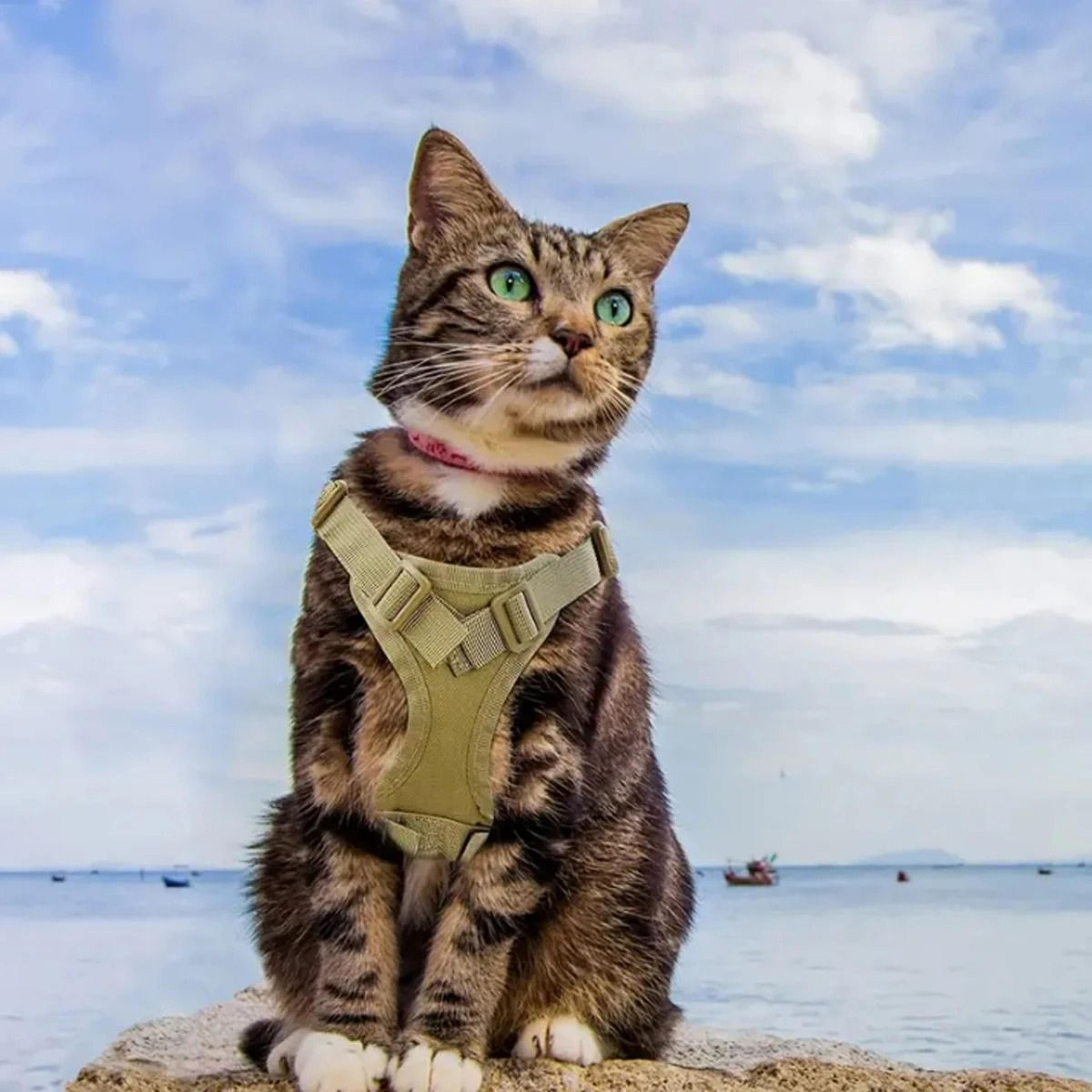 Adjustable Tactical Cat Harness Vest With Secure Leash For Outdoor Walking Adventures 5