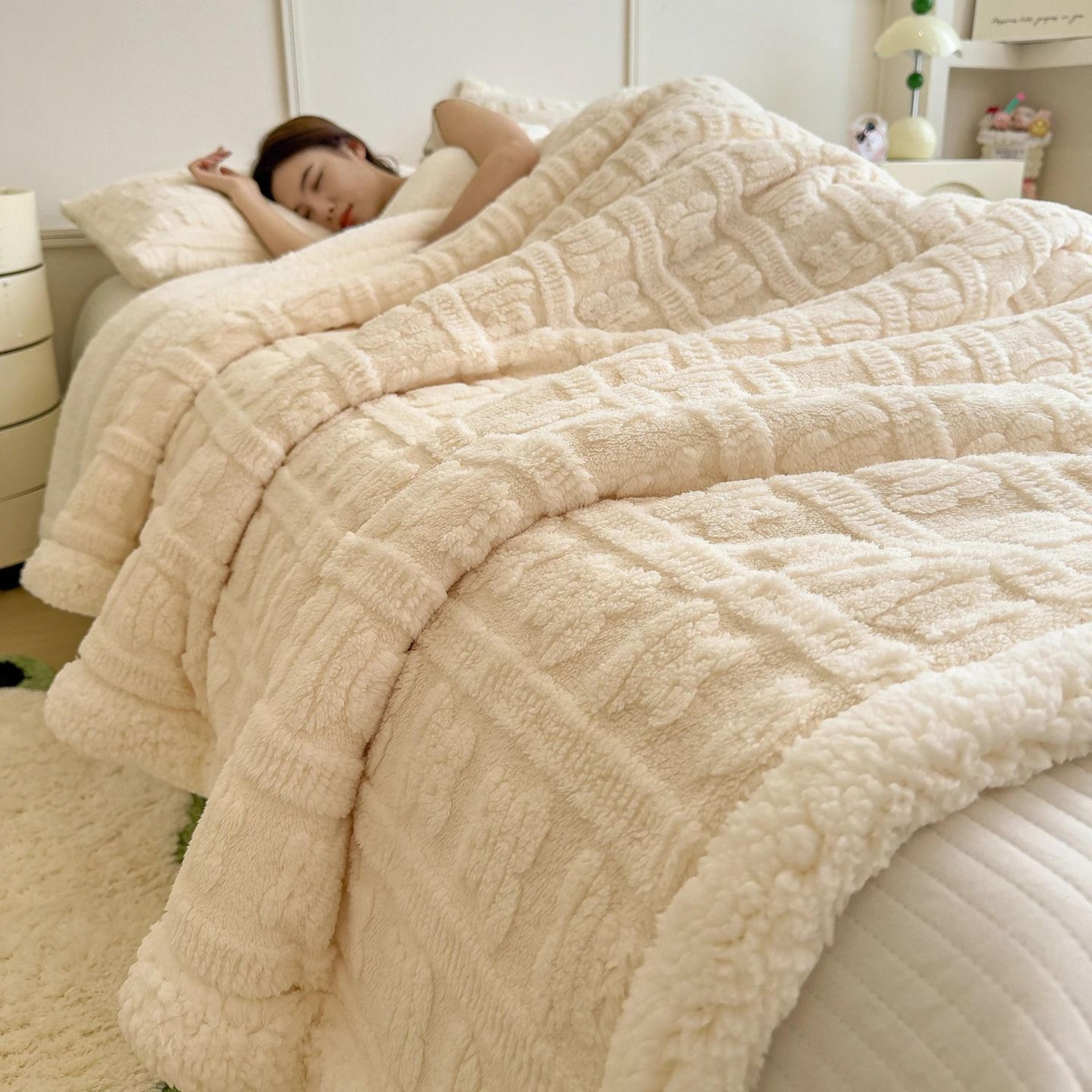 Thick Coral Fleece Winter Blanket Soft Lamb Wool Sofa Throw 3