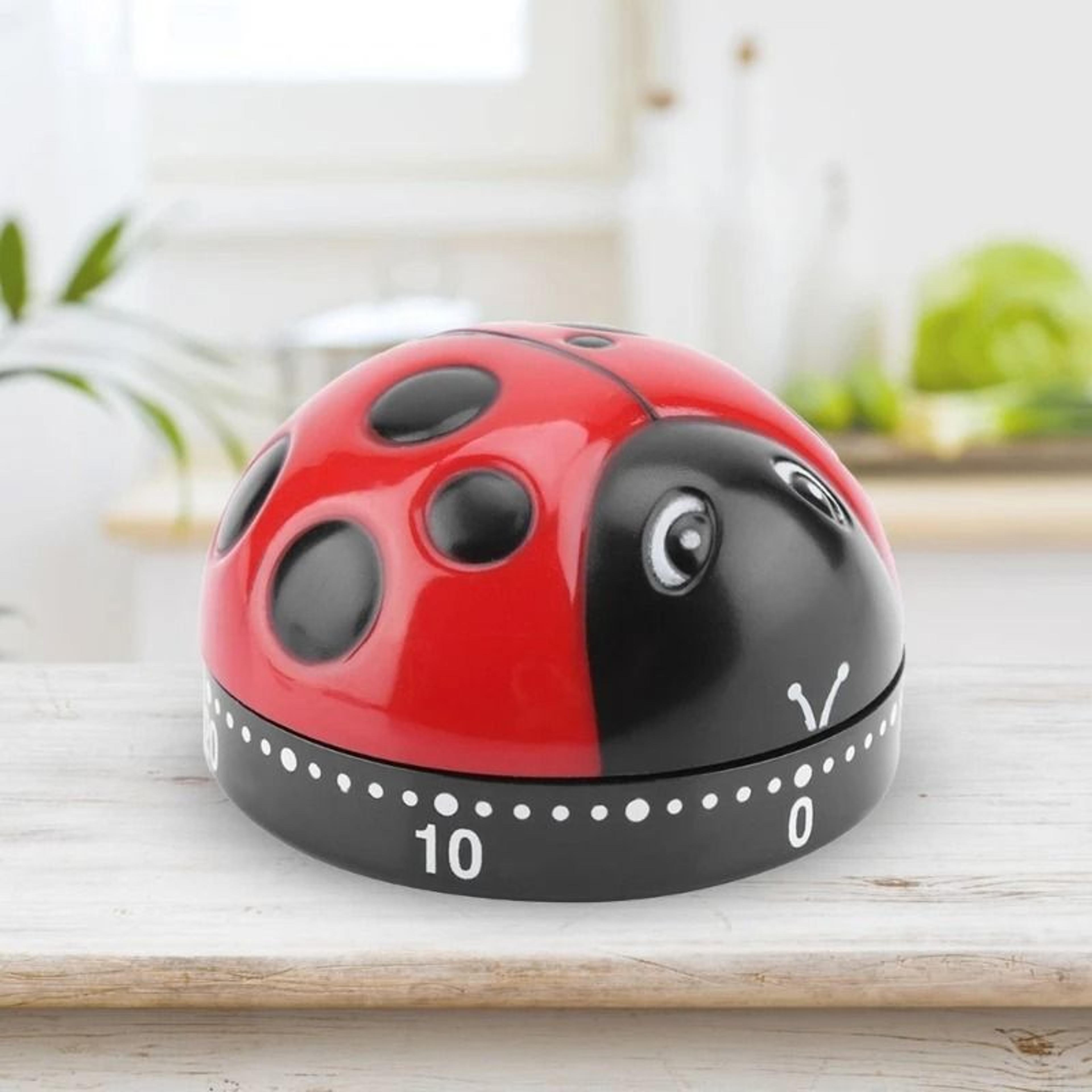 LadyTime Ladybug Kitchen Timer And 60Minute Timer 5