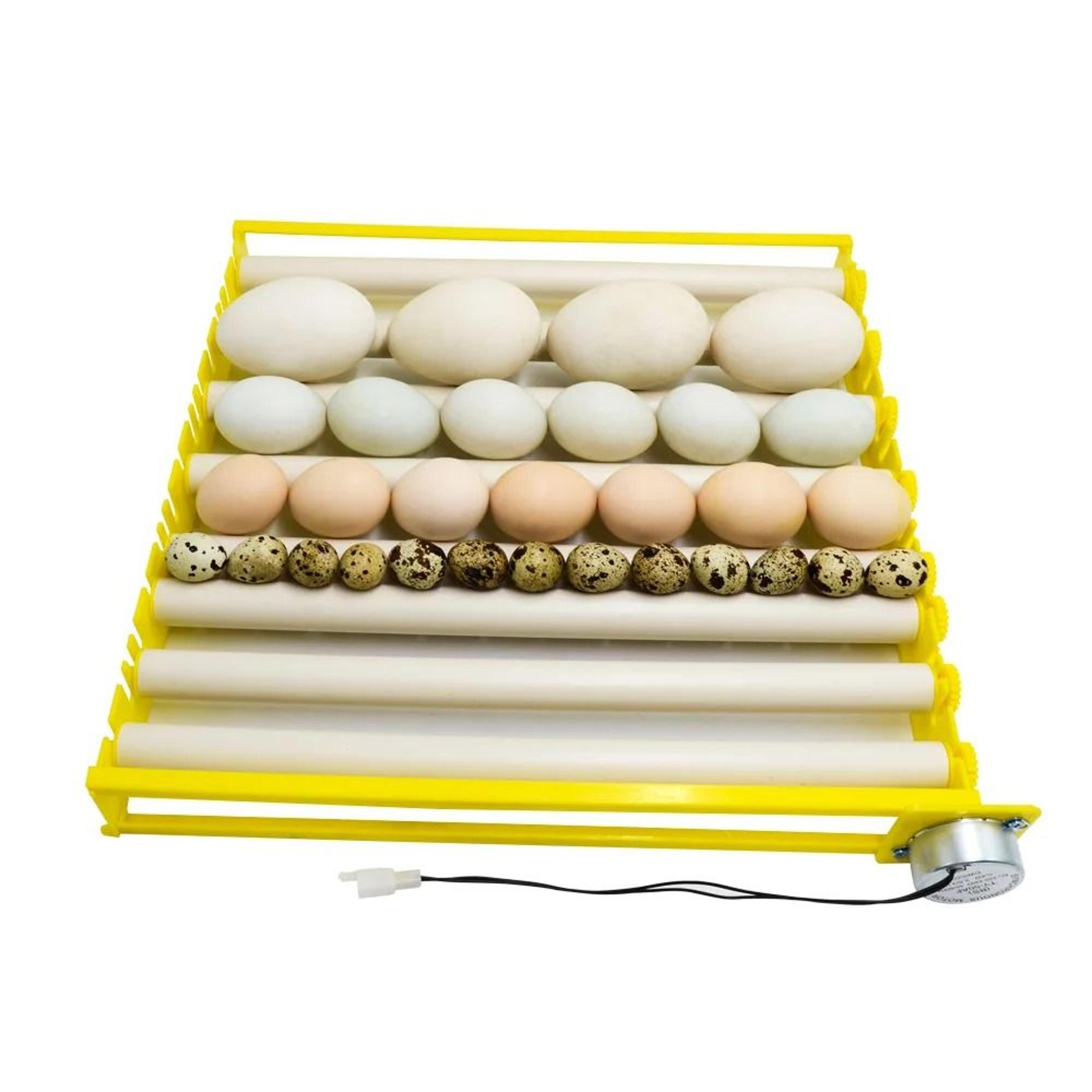 Adjustable Automatic Egg Turner Roller Tray For Poultry Incubators 8