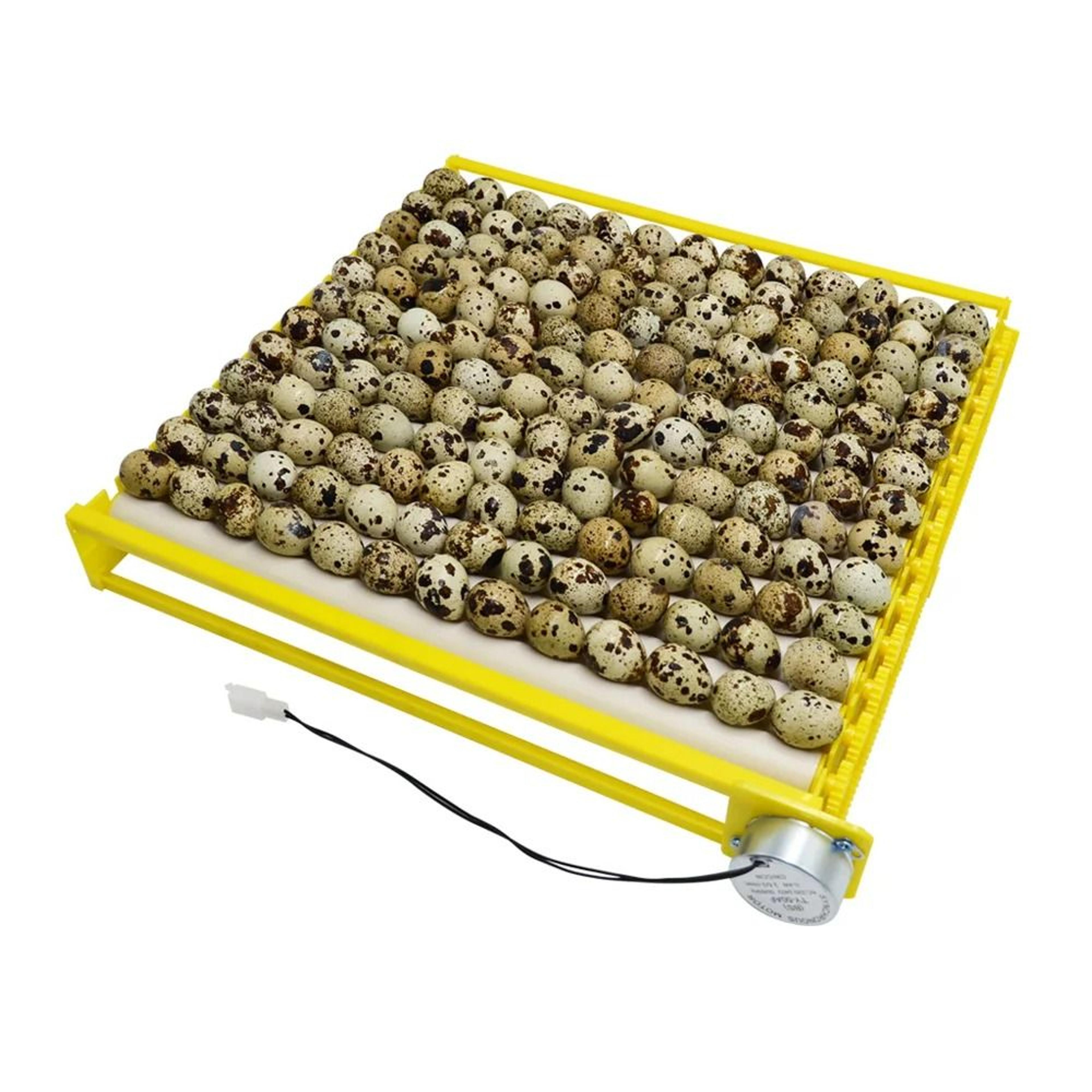 Adjustable Automatic Egg Turner Roller Tray For Poultry Incubators 6