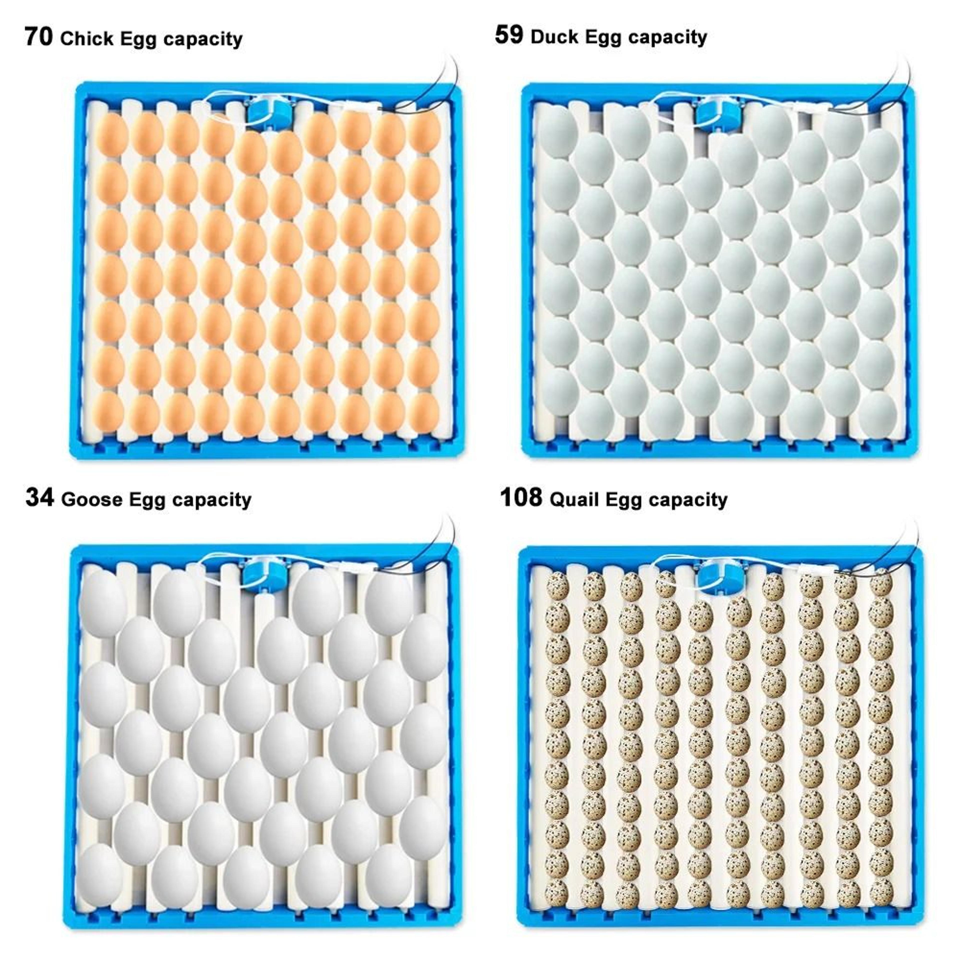 HatchRoll 360 Automatic Egg Turner And Incubator Roller Tray 5