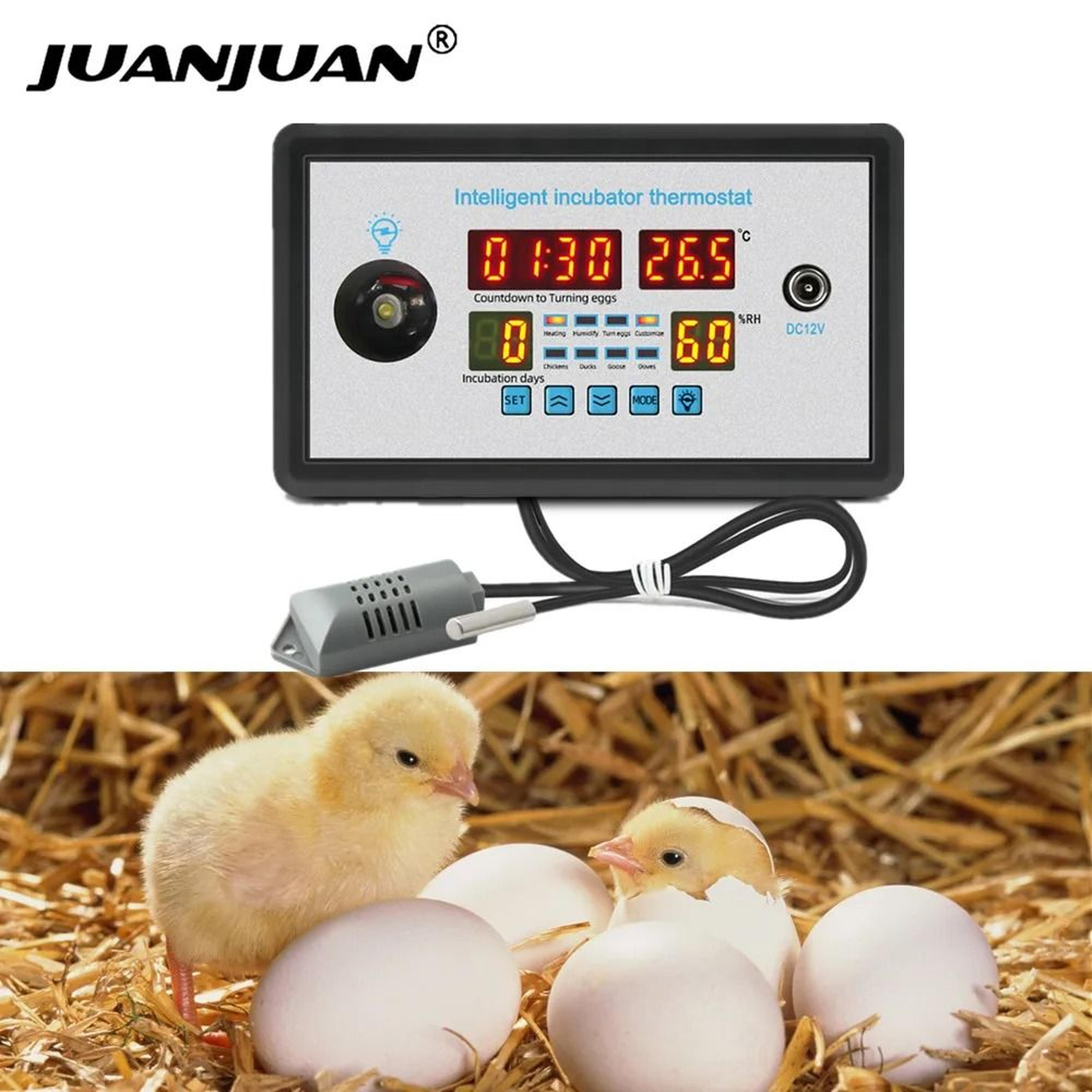 HatchGuard 12V Incubator Thermostat And Temperature Humidity Controller 0