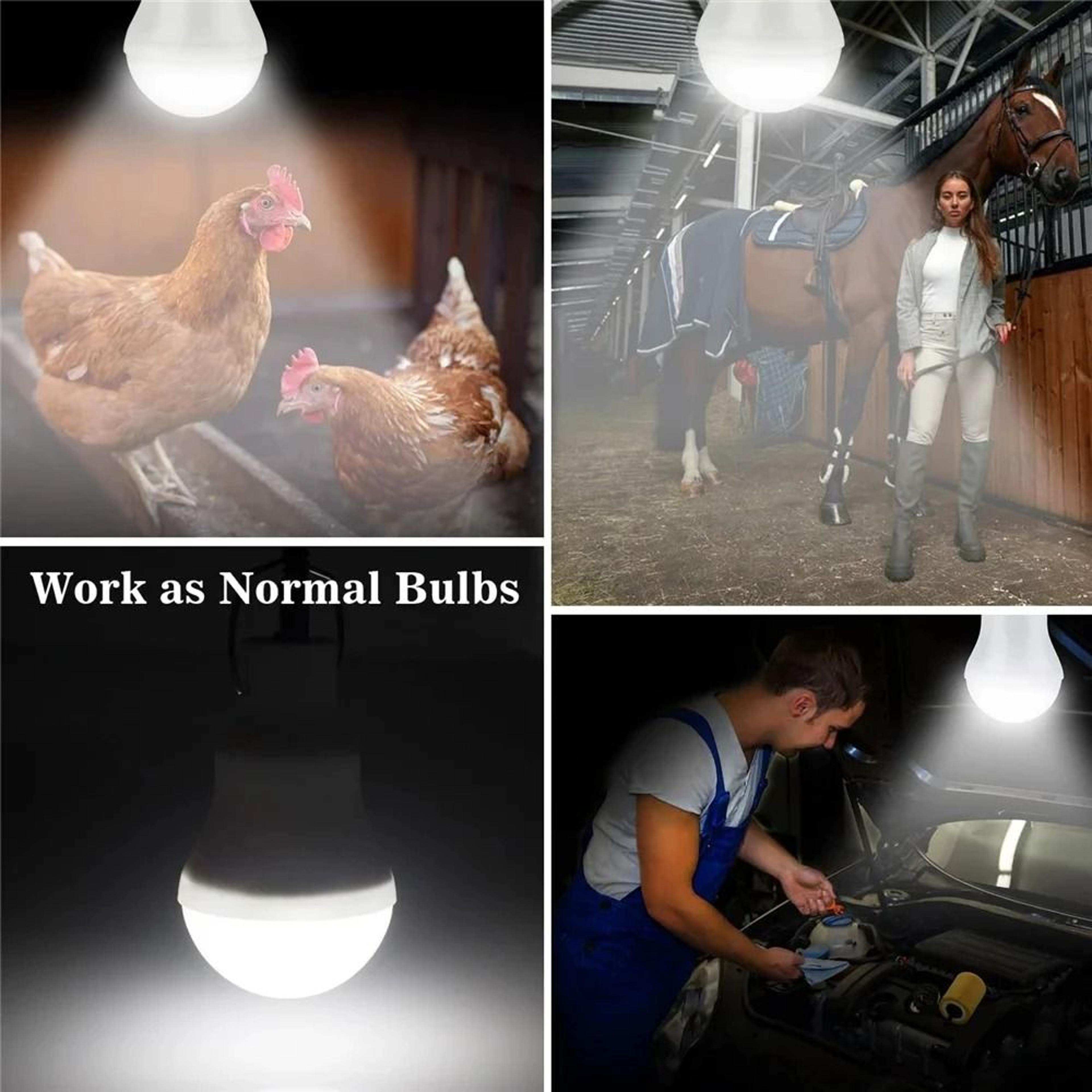 Portable Solar LED Camping Bulb With Rechargeable Panel 6