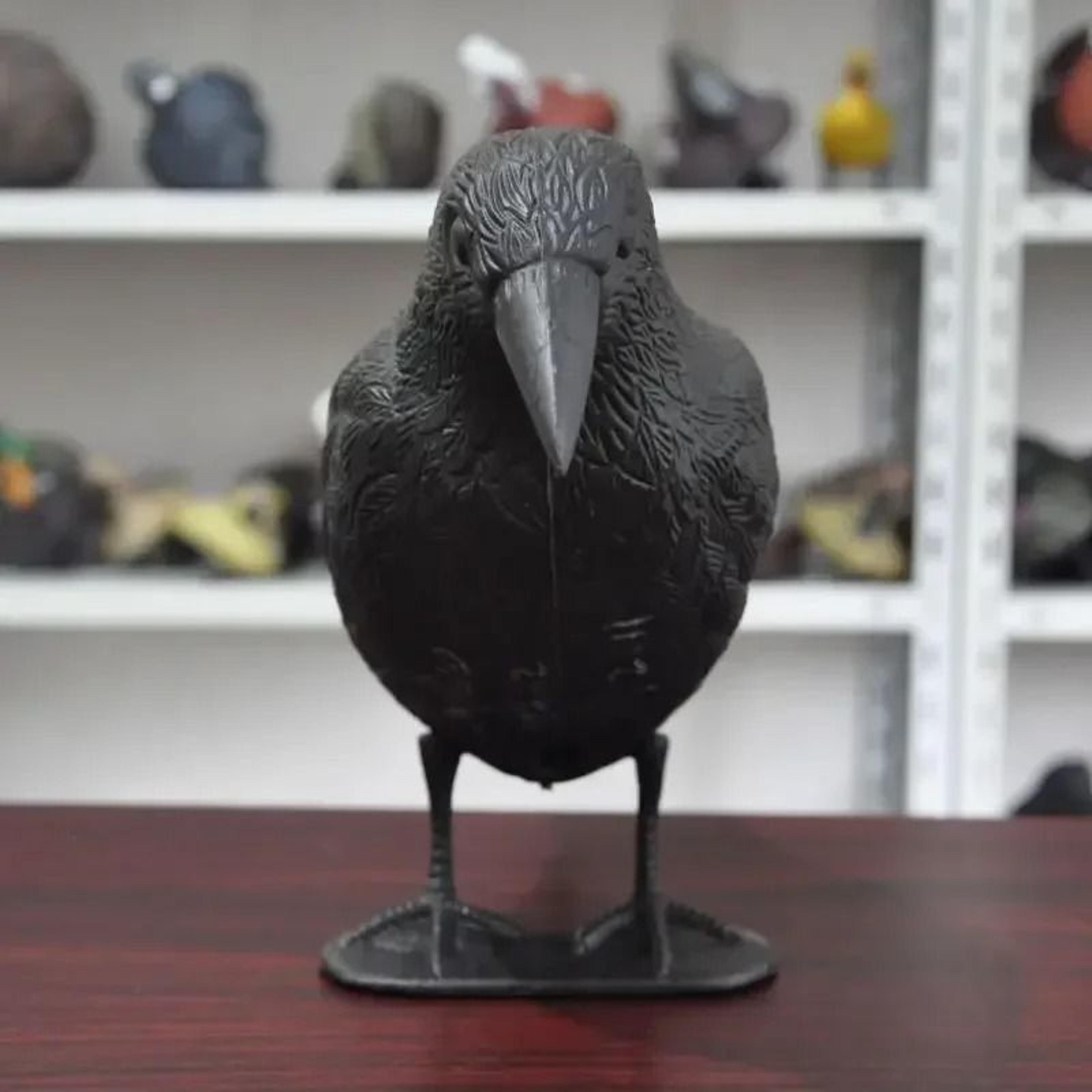 Realistic Black Crow Bird Repellent Outdoor Raven Decoy For Garden And Pigeon Deterrence 4