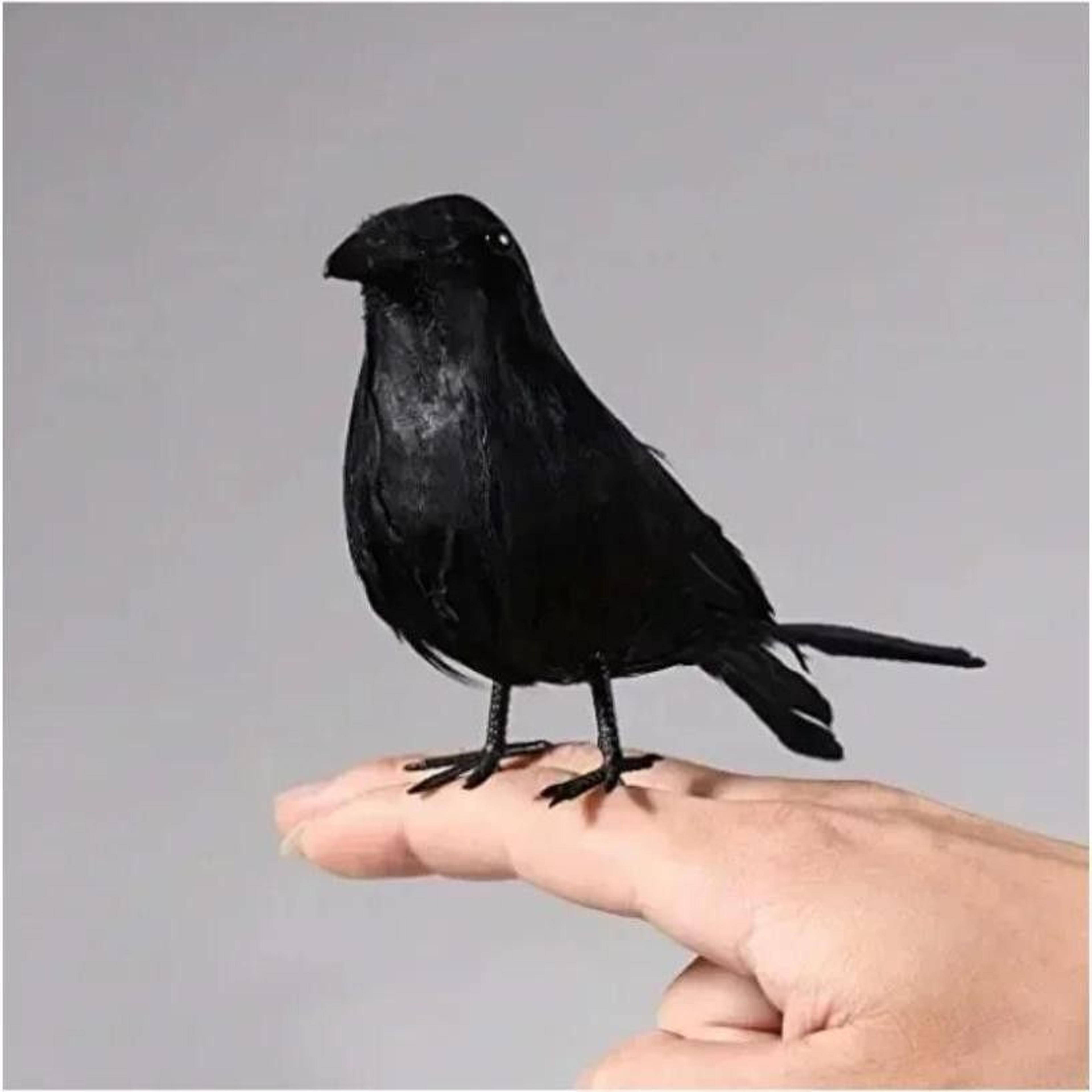 3Piece Black Crow Halloween Decoration Realistic Feather Raven Party Props 3