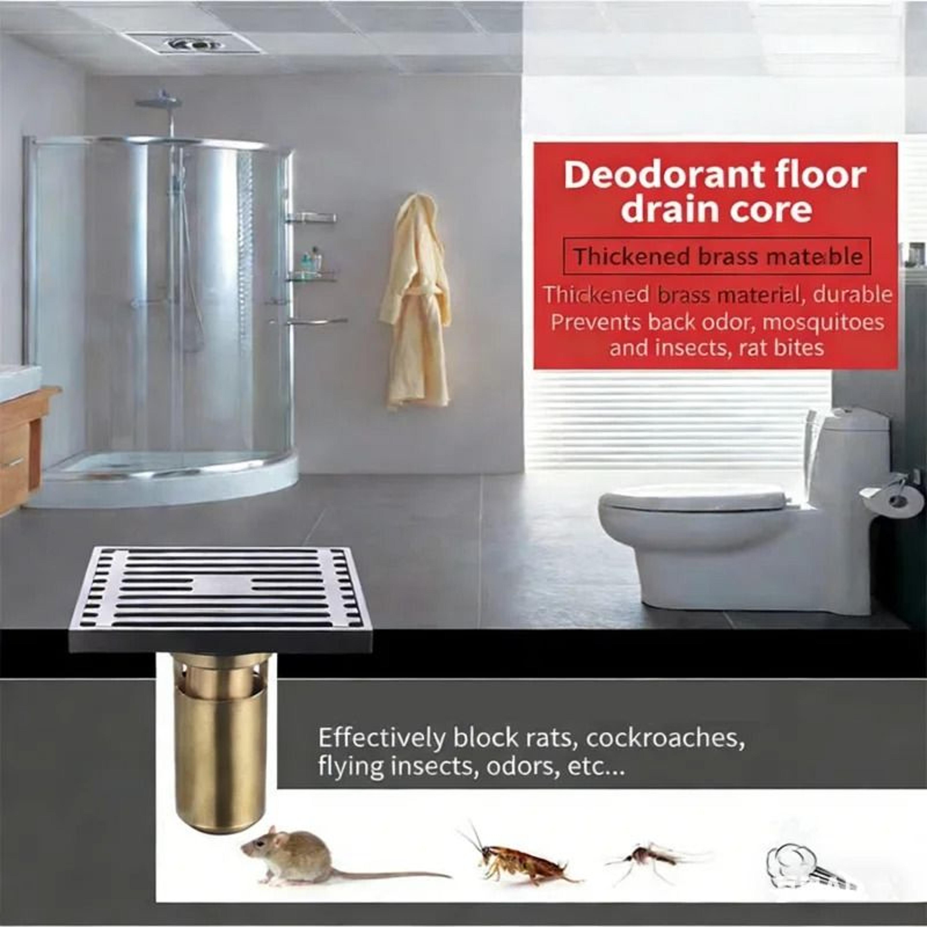 Brass AntiOdor Floor Drain Core With Strainer 9
