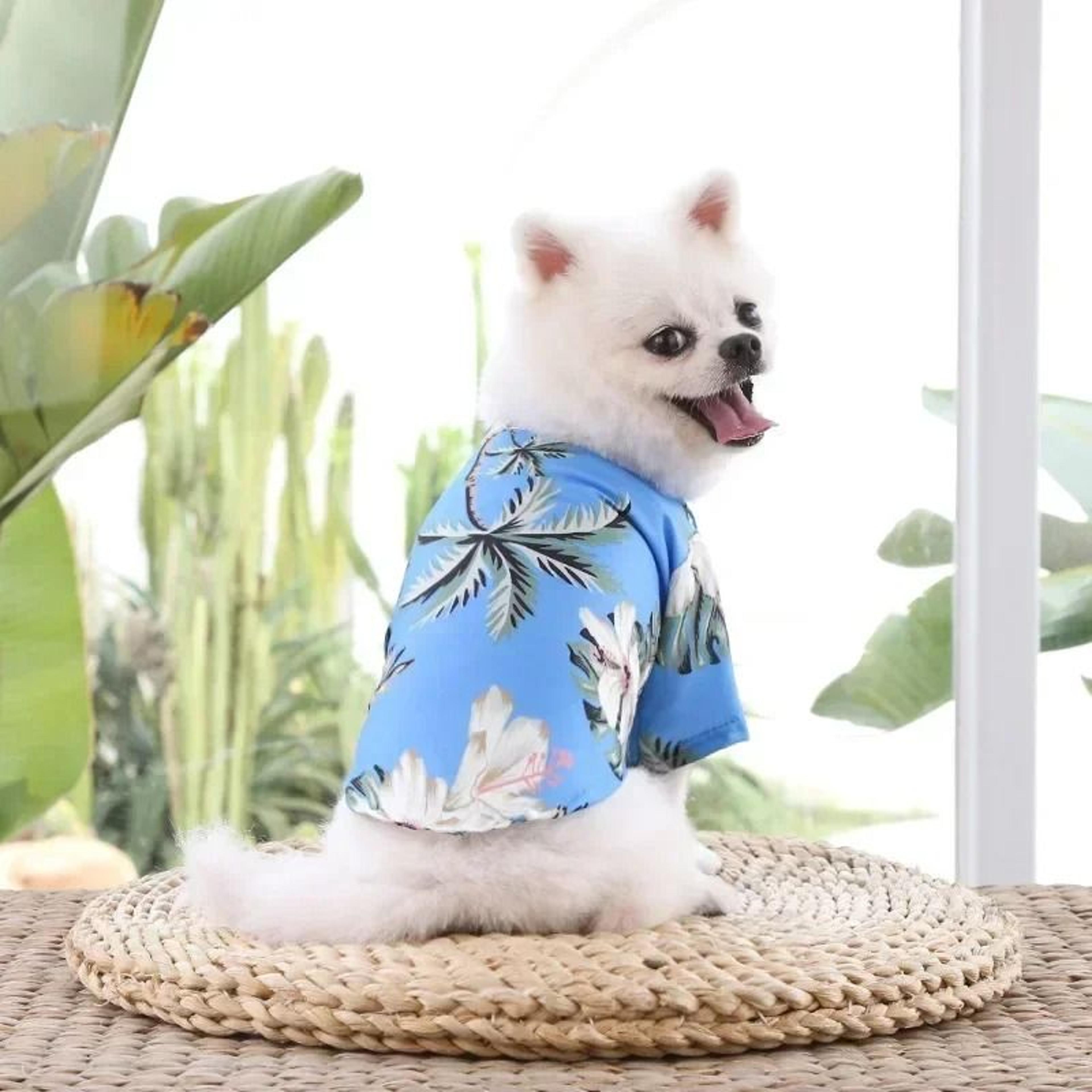 Hawaiian Summer Dog Shirt For Small And Medium Pets 13