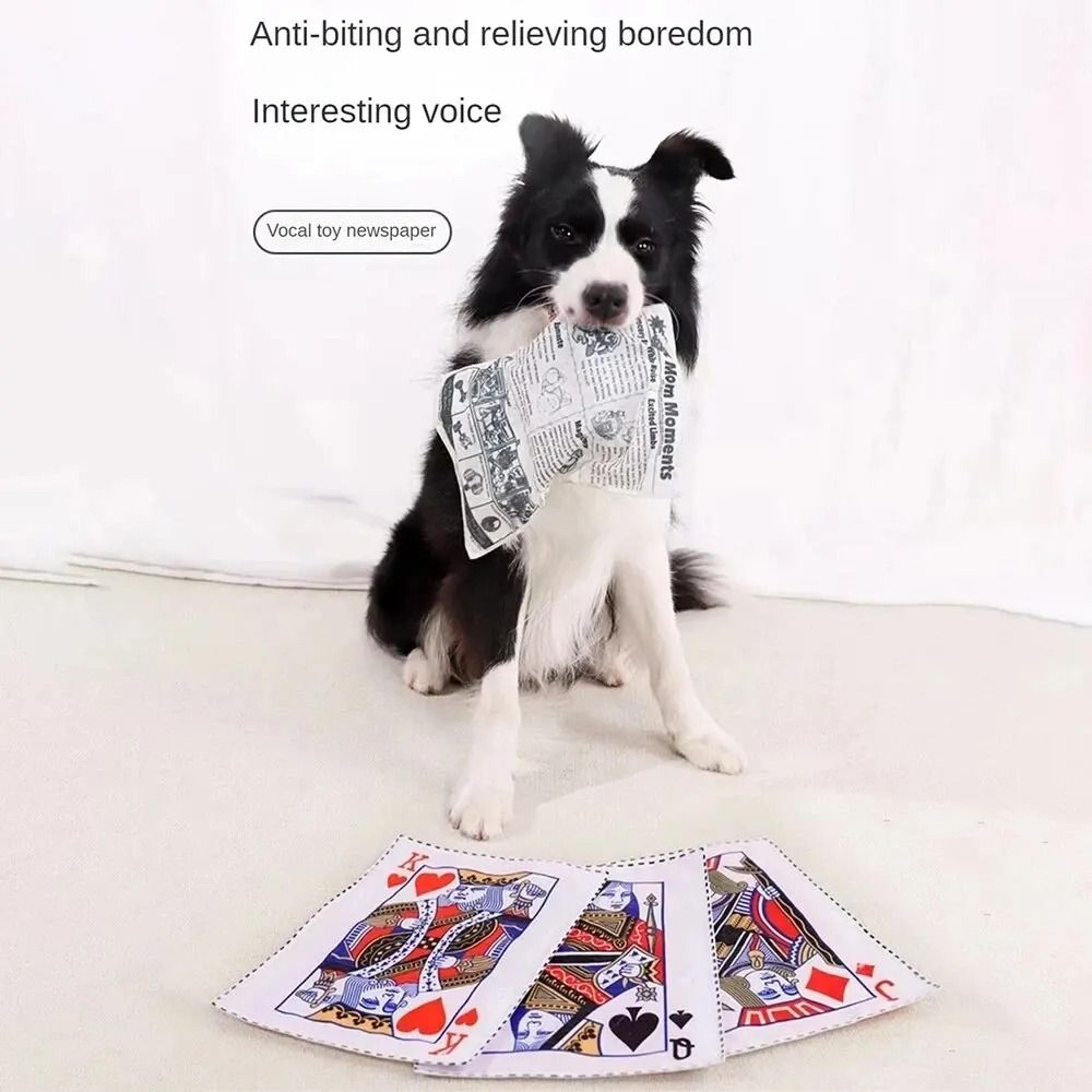Squeaky Crinkle Dog Toy Playing Card For Interactive Chewing Fun 2