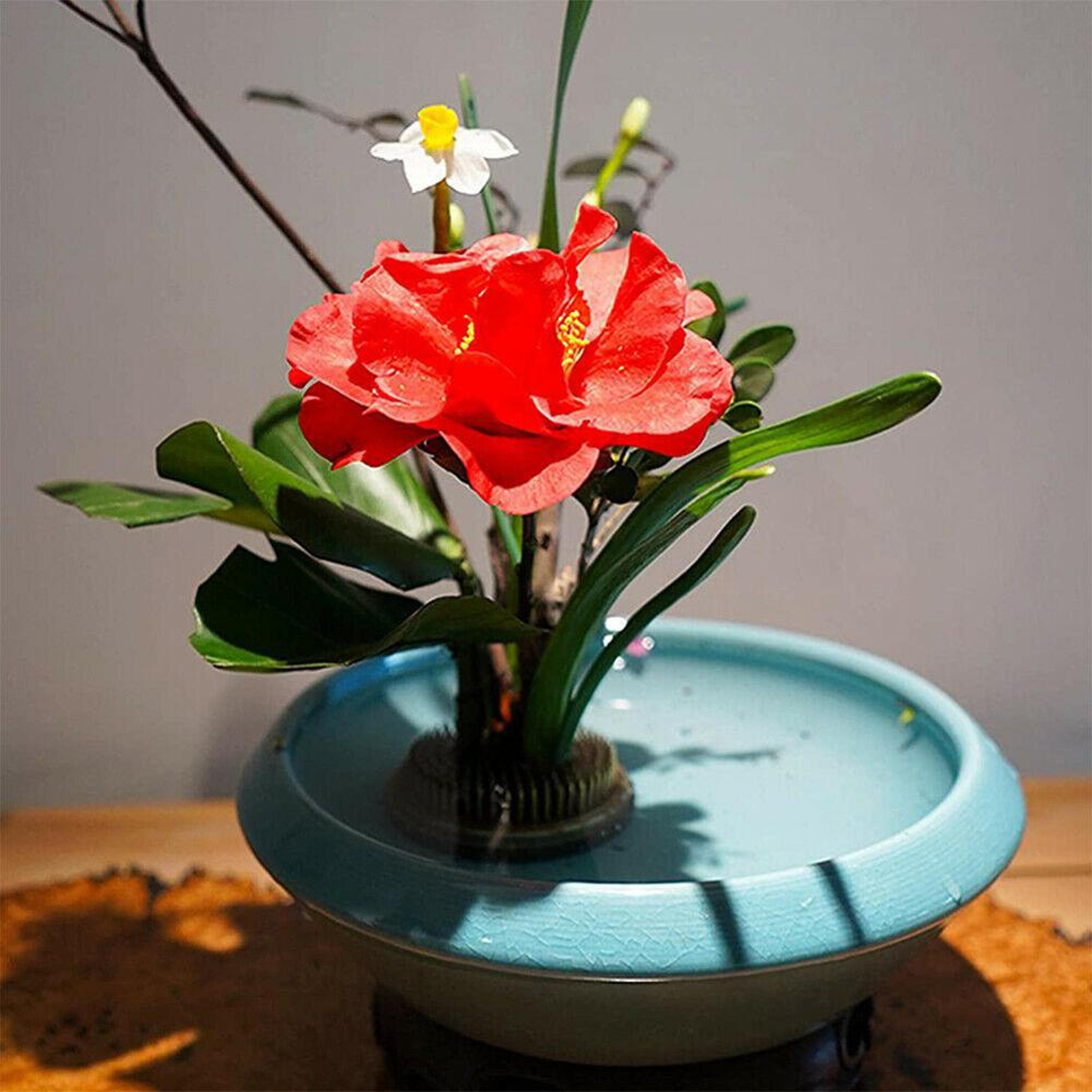 Round Ikebana Kenzan Flower Frog Spiky Floral Arrangement Holder With Rubber Base 7