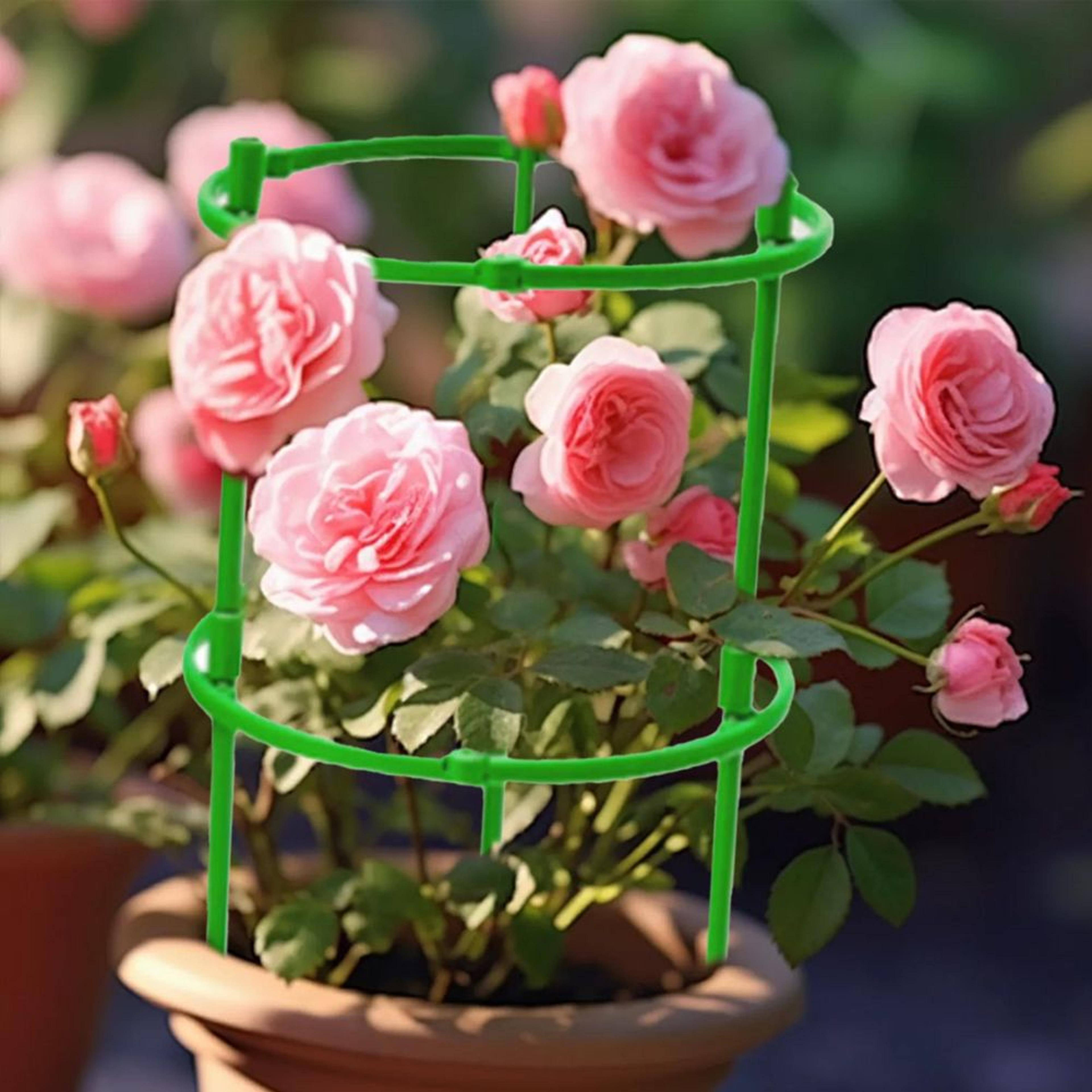 2Layer Tomato Cage Plant Support Round Trellis For Pots And Climbing Plants 0