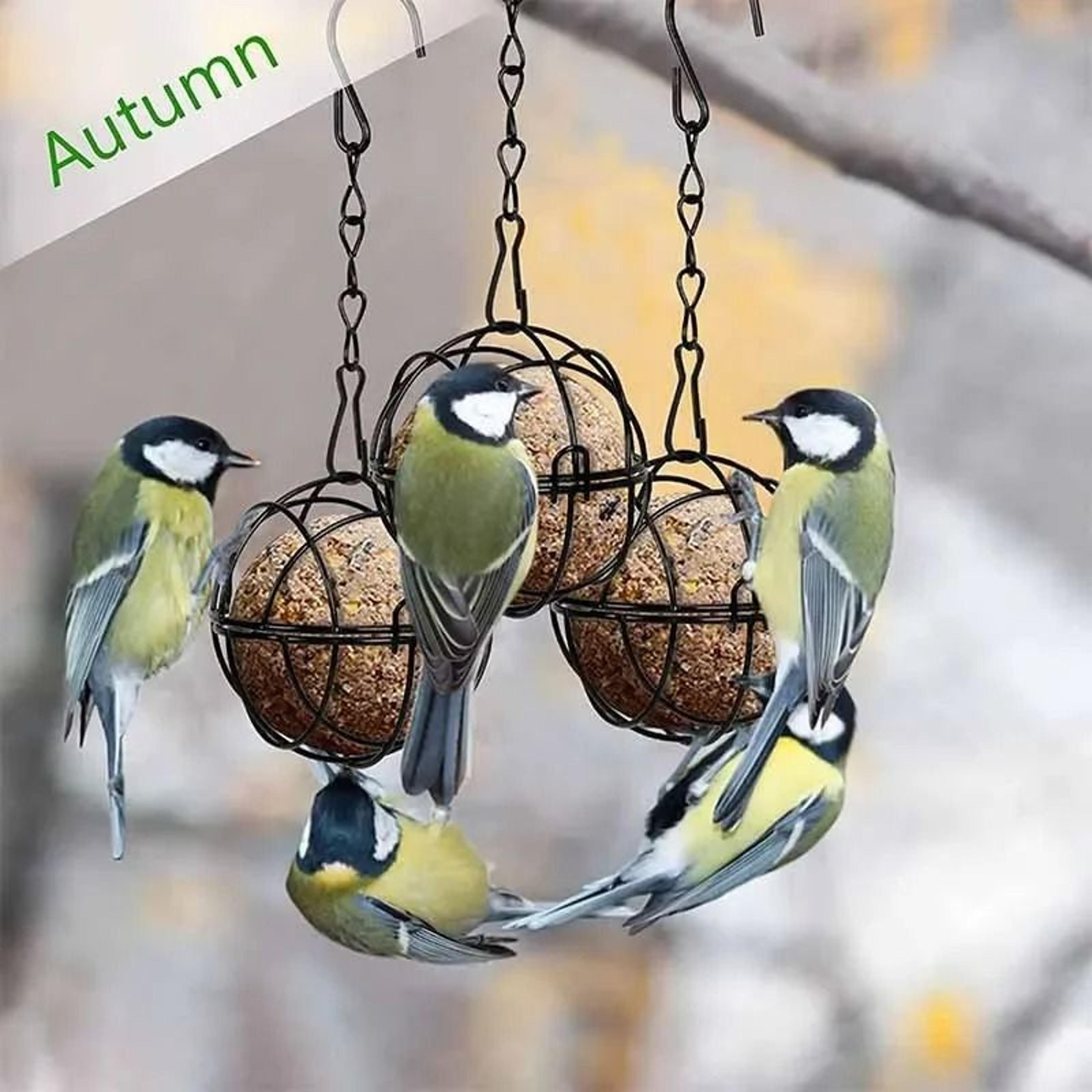 Metal Suet Ball Bird Feeder With Hanging Chain 5