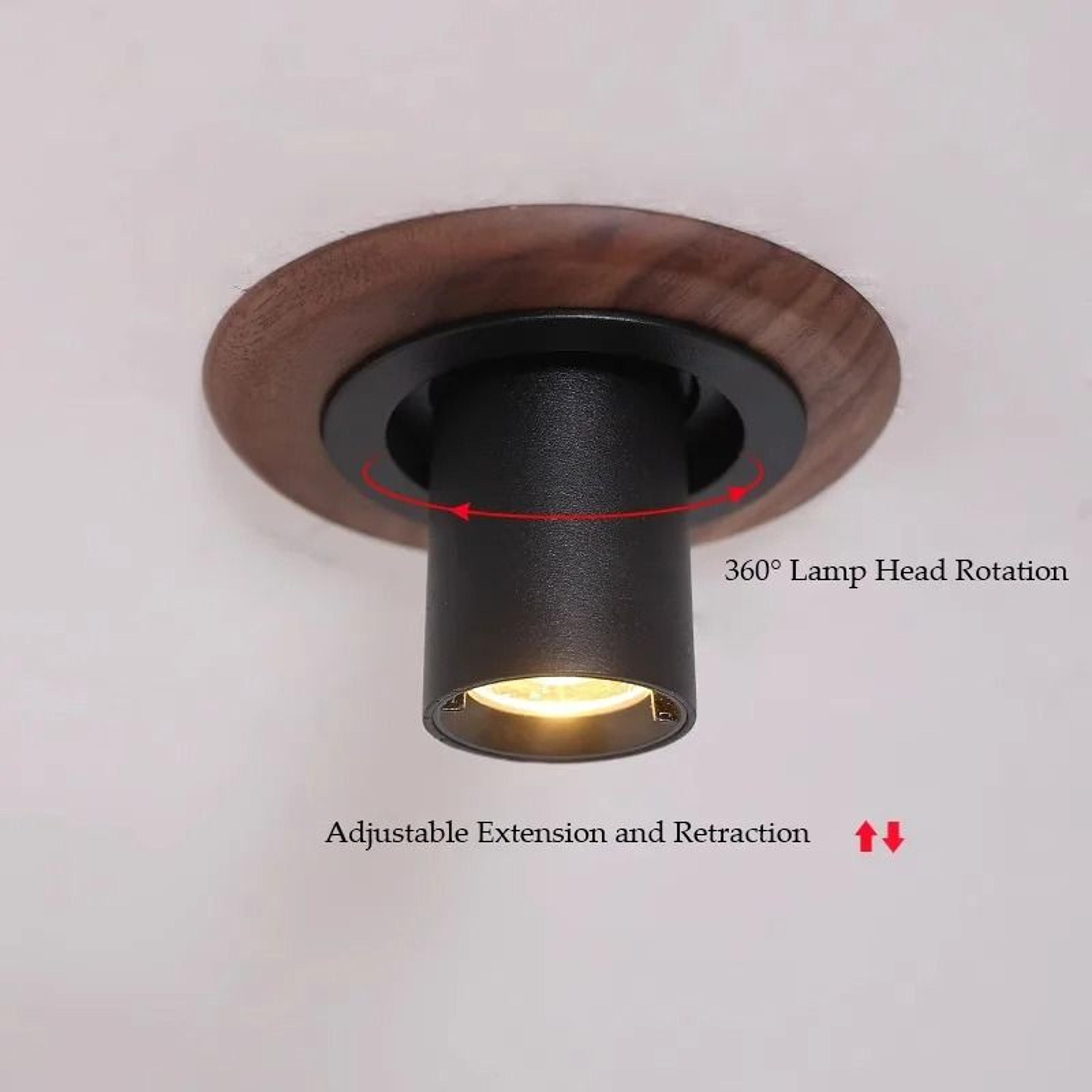 Walnut Wood Recessed LED Spotlight With Rotatable Wall Wash Lighting 5