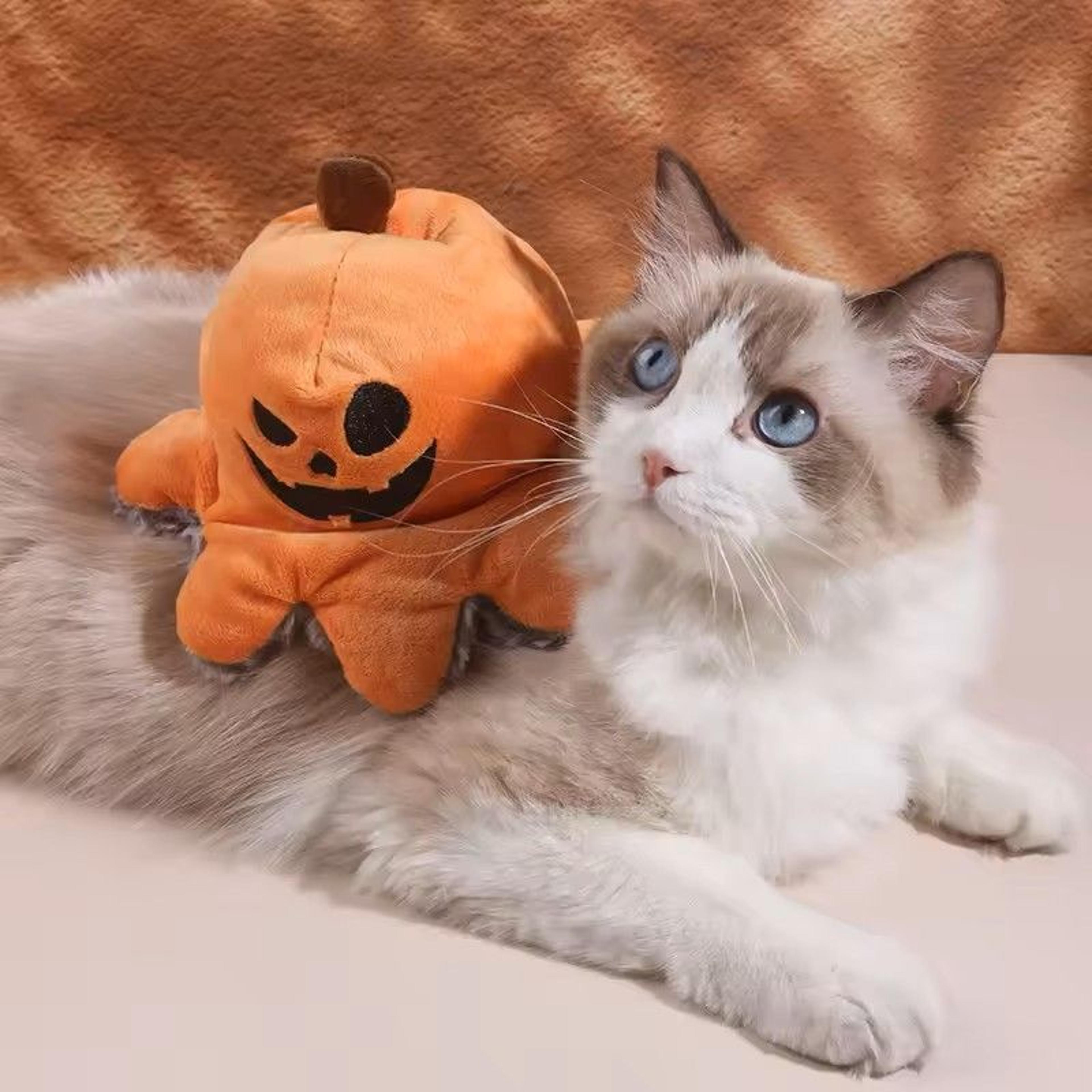 Halloween Dog Toy Reversible Plush Flip Pumpkin Octopus With Squeaker 0