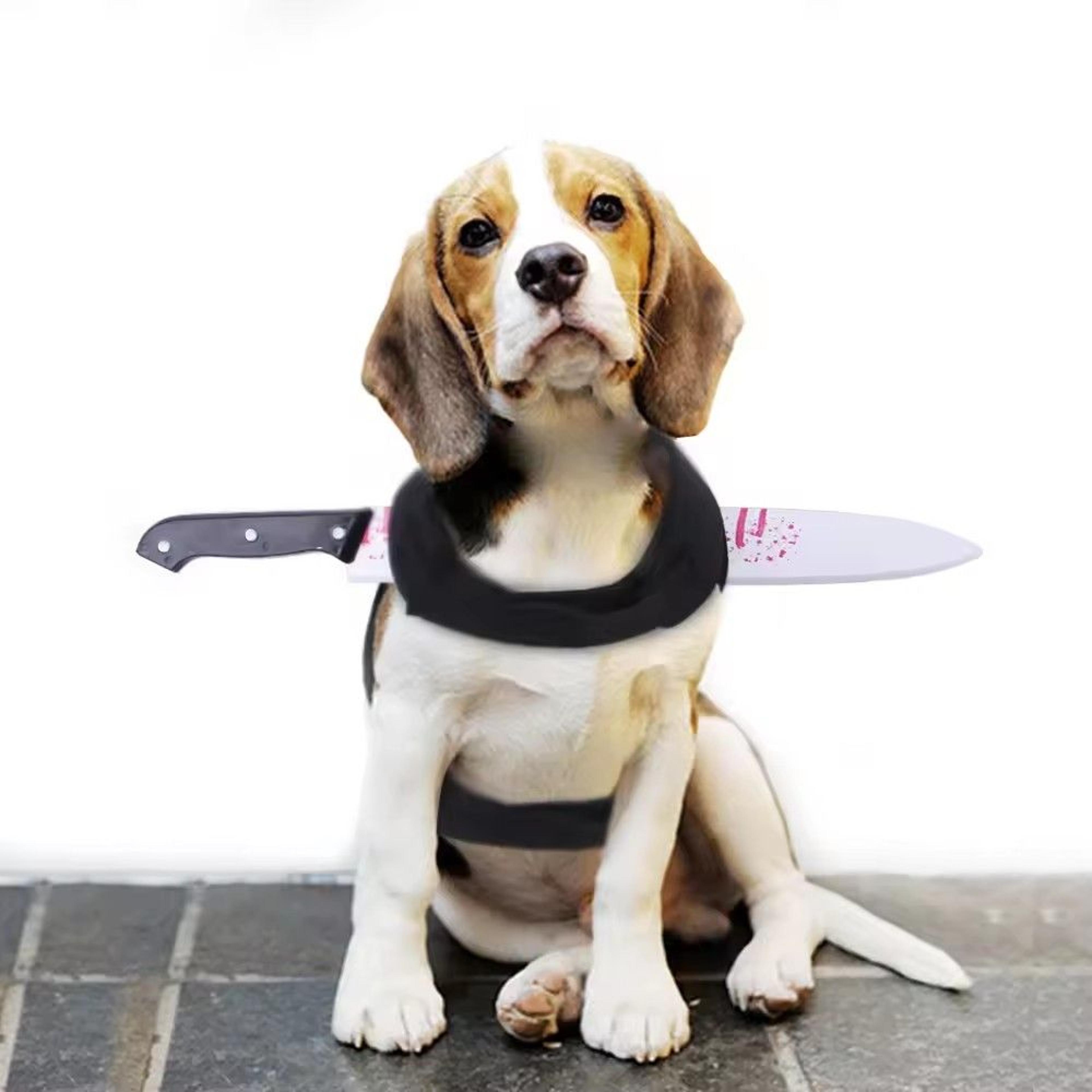 Dog Halloween Costume Bloodstain Pet Cosplay Costume Accessory Set For Cats  Dogs 4