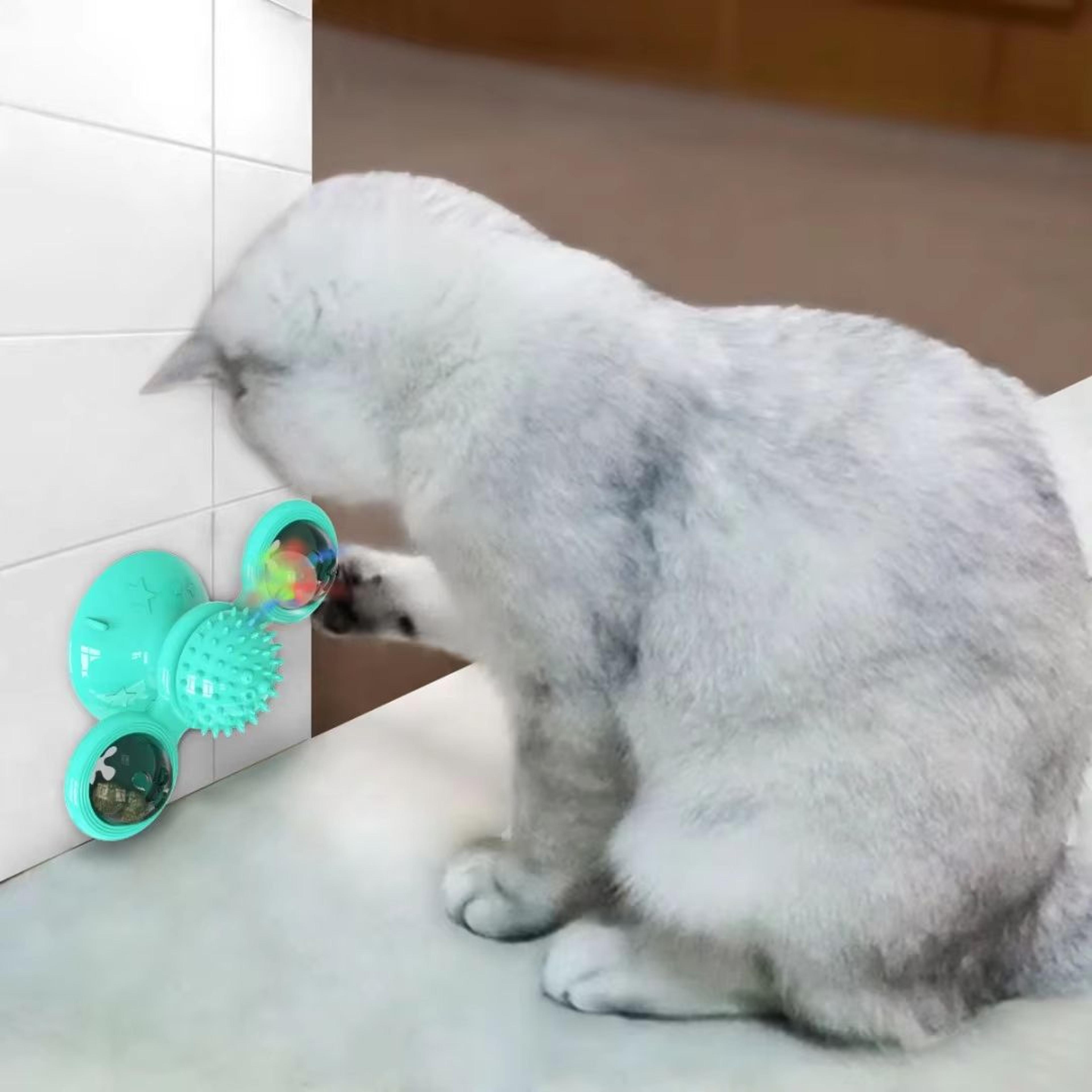 Windmill Interactive Cat Toy With Suction Cup Catnip Ball Toy  ToothCleaning Brush 7