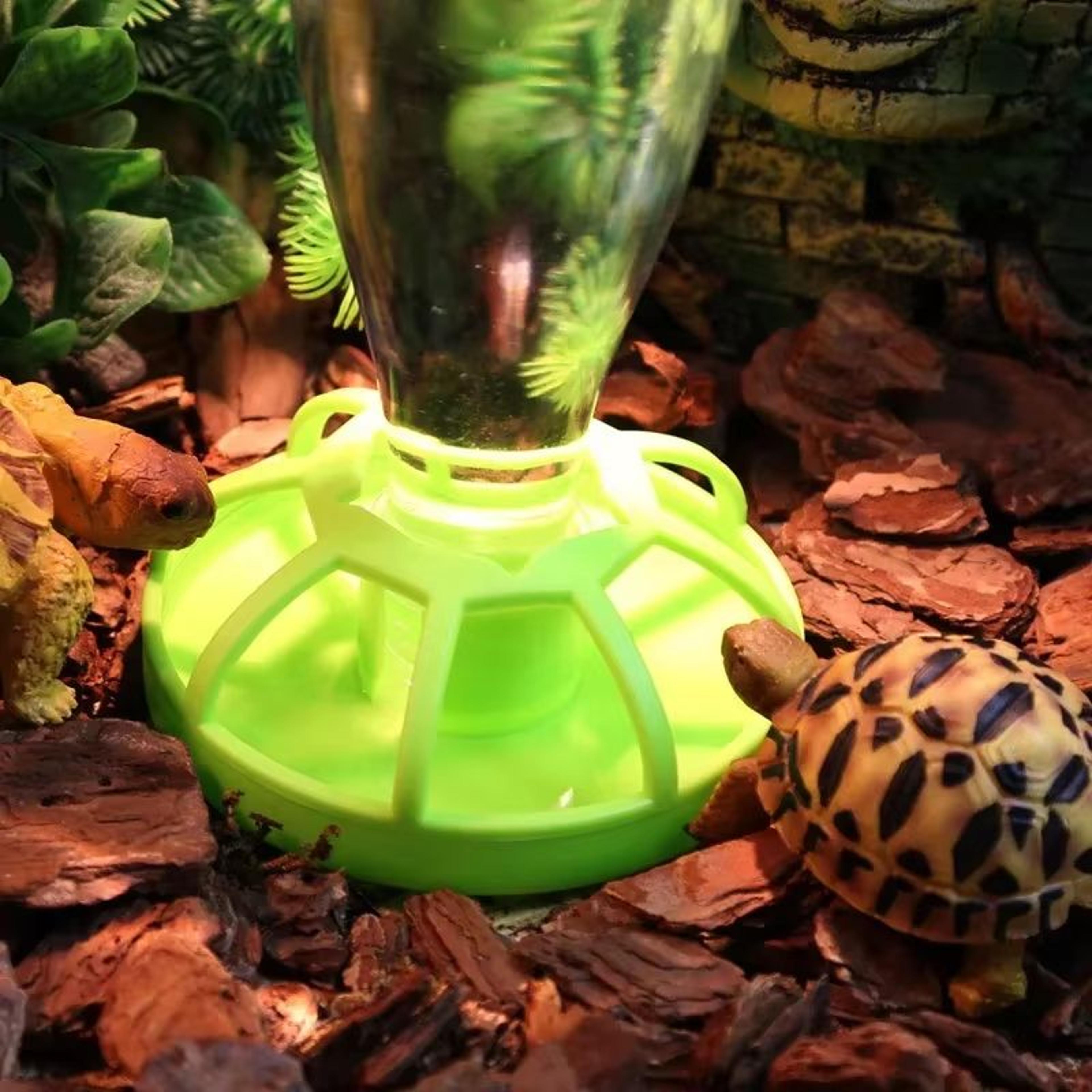 lotus leaf reptile water dispenser with lizard water bottle and feeding dish