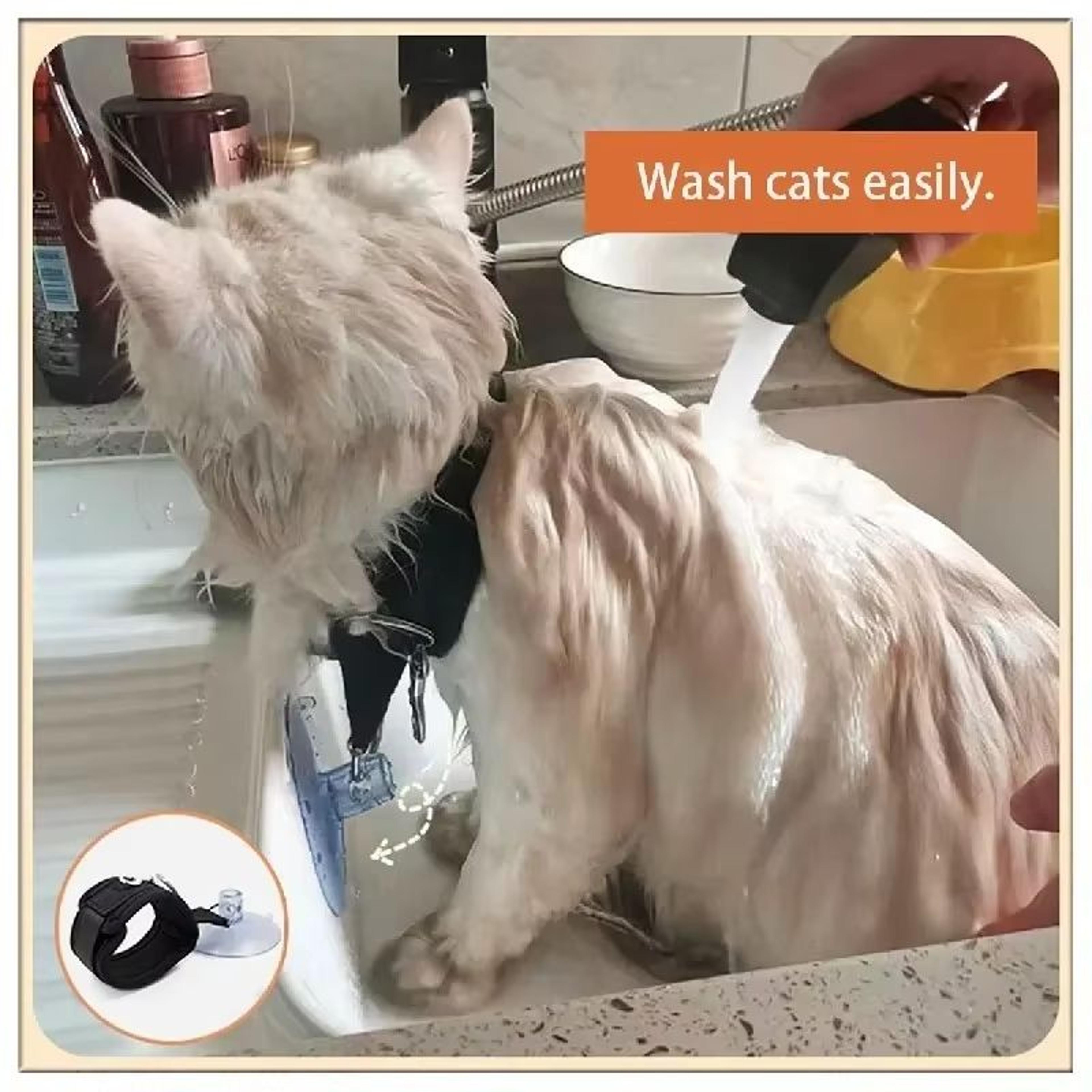 Suction Cup Pet Bathing Tether With Adjustable Collar For Easier Grooming 5