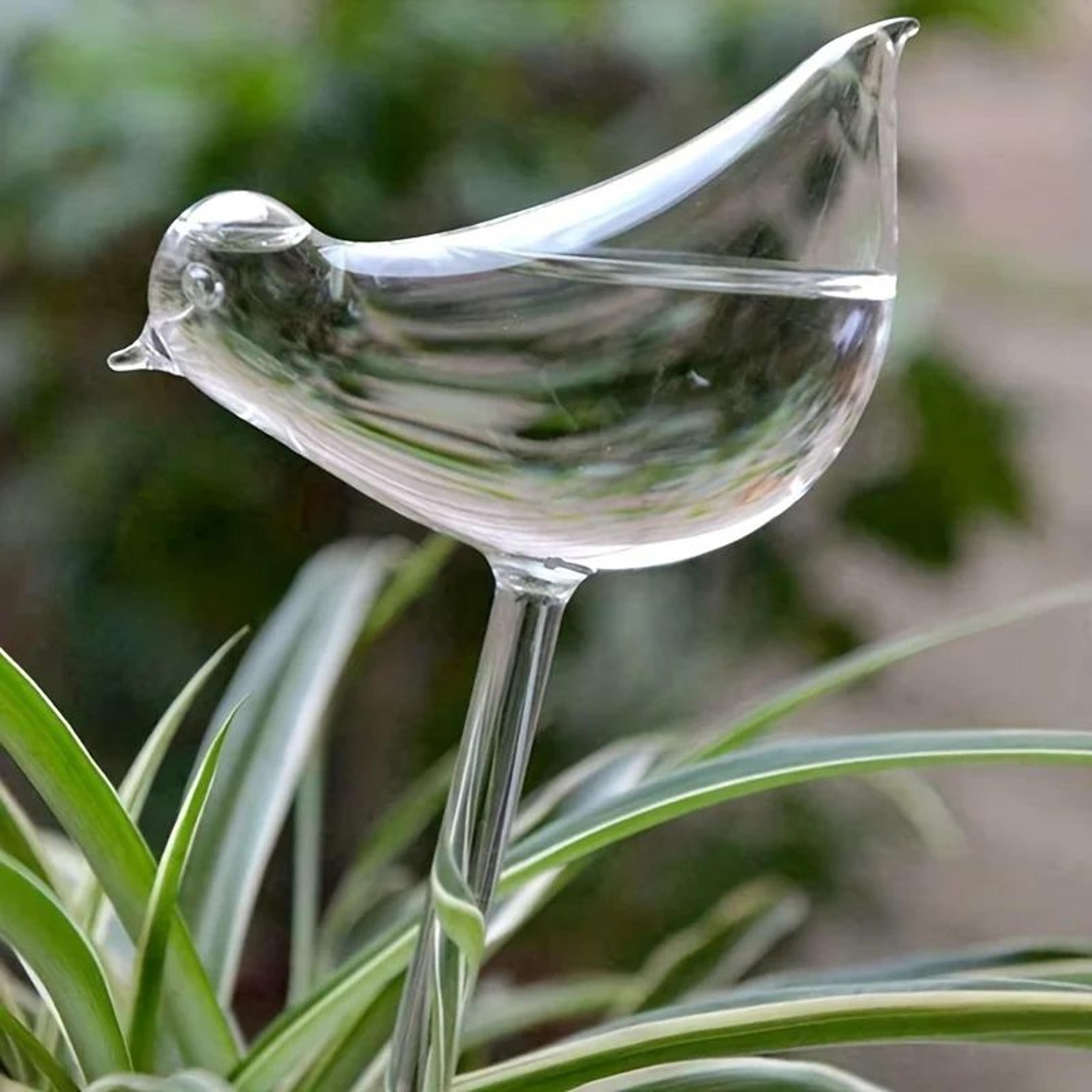 Automatic Bird Water Dispenser  Imitation Glass Pet Water Feeder For Effortless Daily Hydration 5
