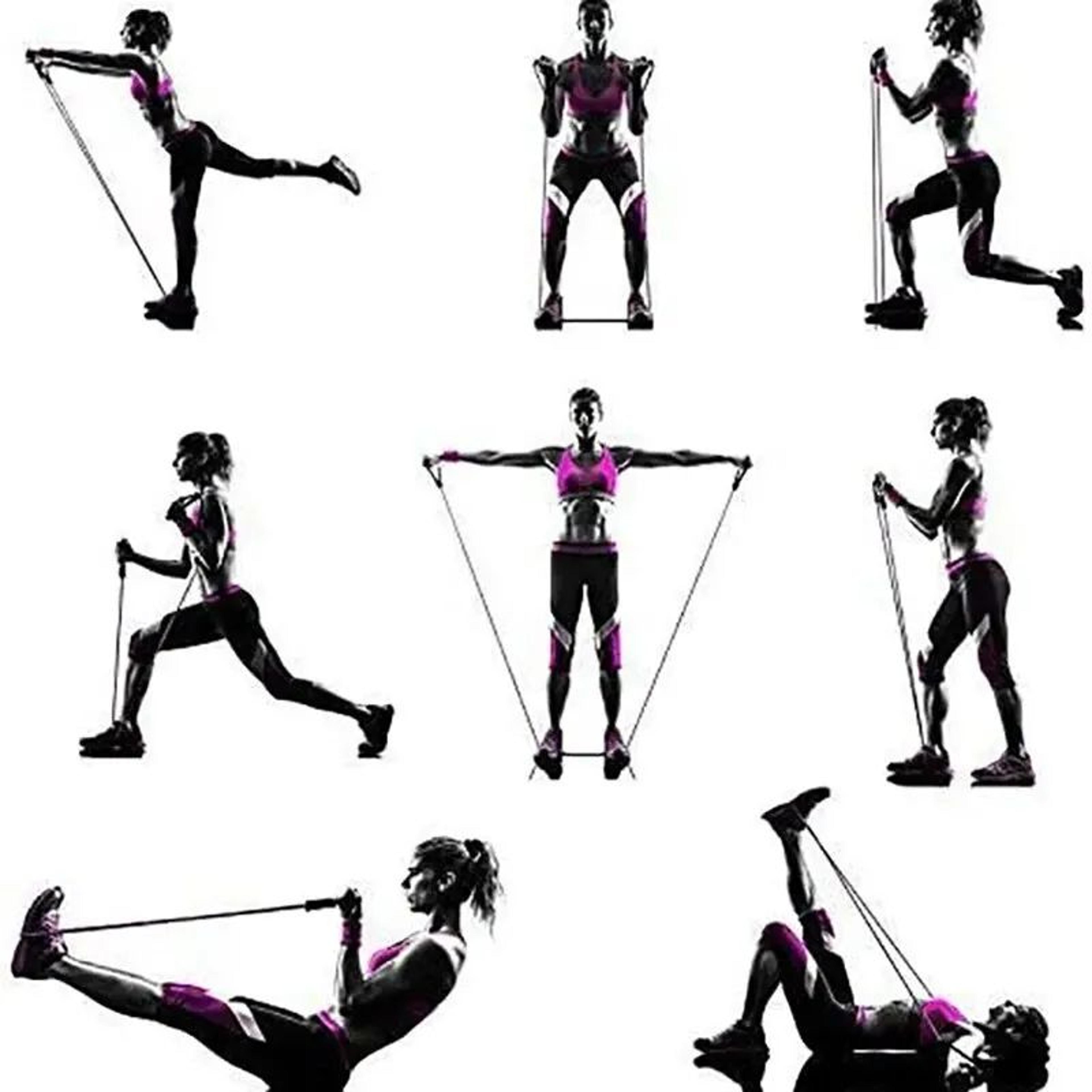PowerFlex Resistance Bands With Handles  Home Workout Strength Training Set 2