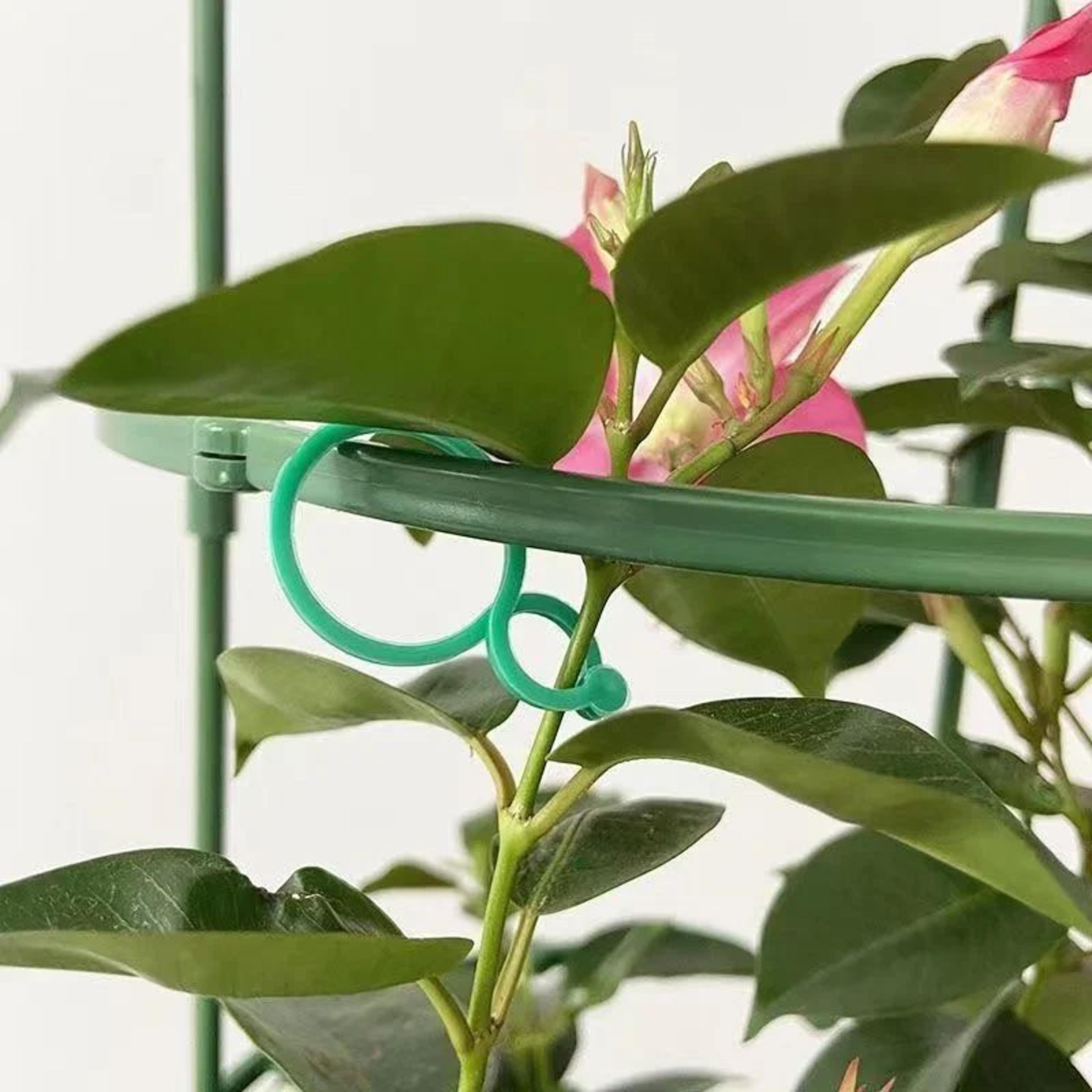 Reusable Garden Plant Clips  Vine Ties  Adjustable Support Hooks For Tomatoes And Vines 0