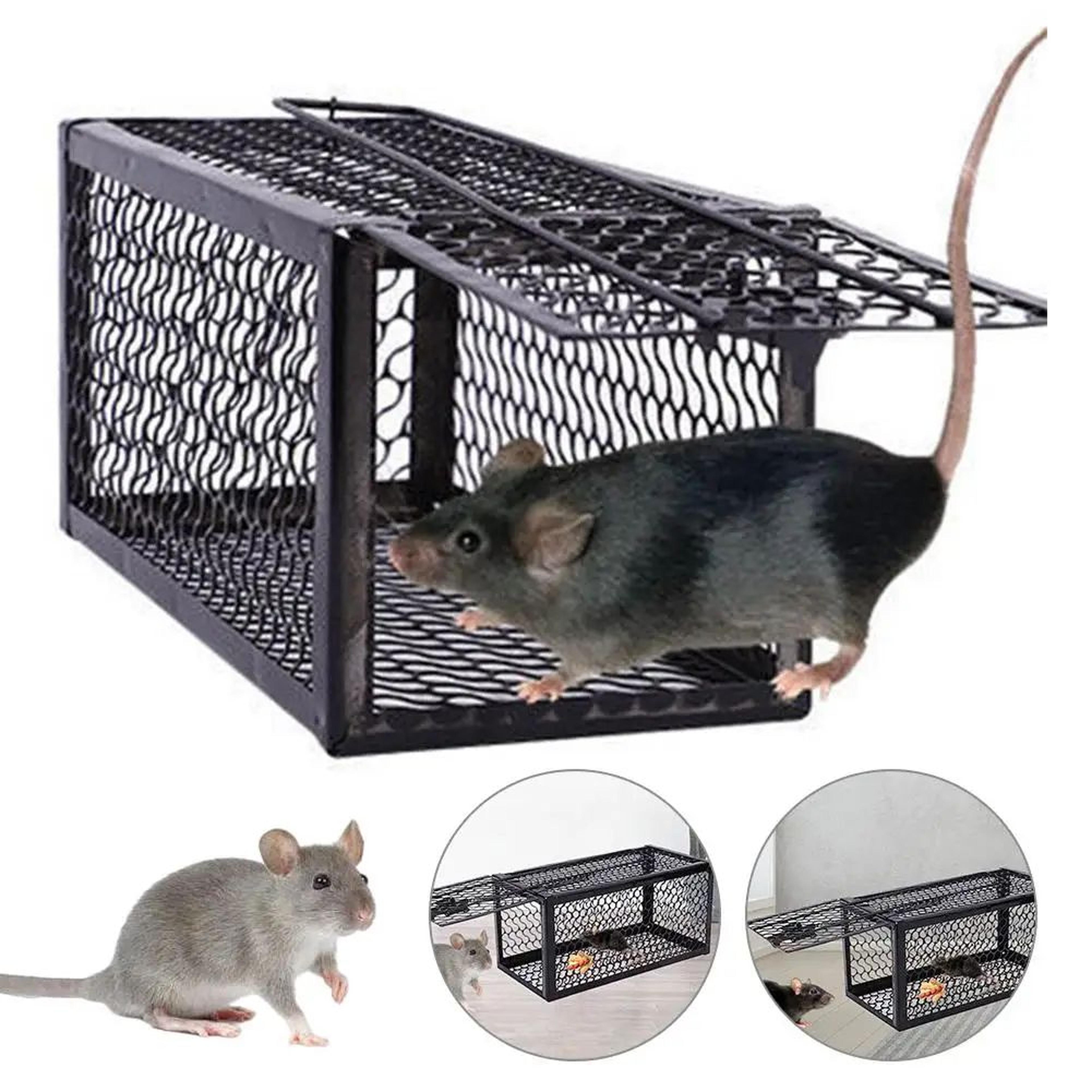 safehome mouse trap - high-adhesion sticky mouse board for reliable indoor pest control